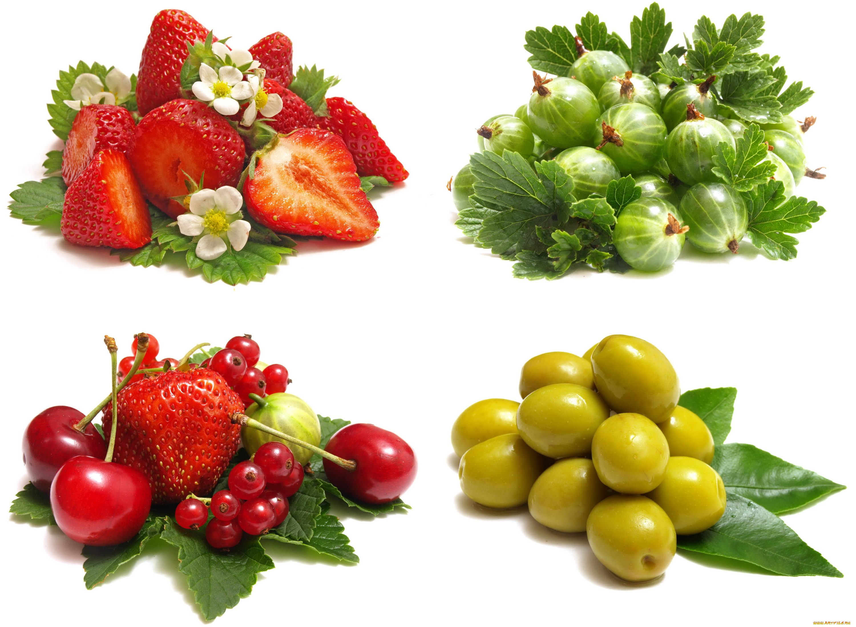 еда, фрукты, и, овощи, вместе, оливки, клубника, цветы, листья, смородина, черешня, крыжовник