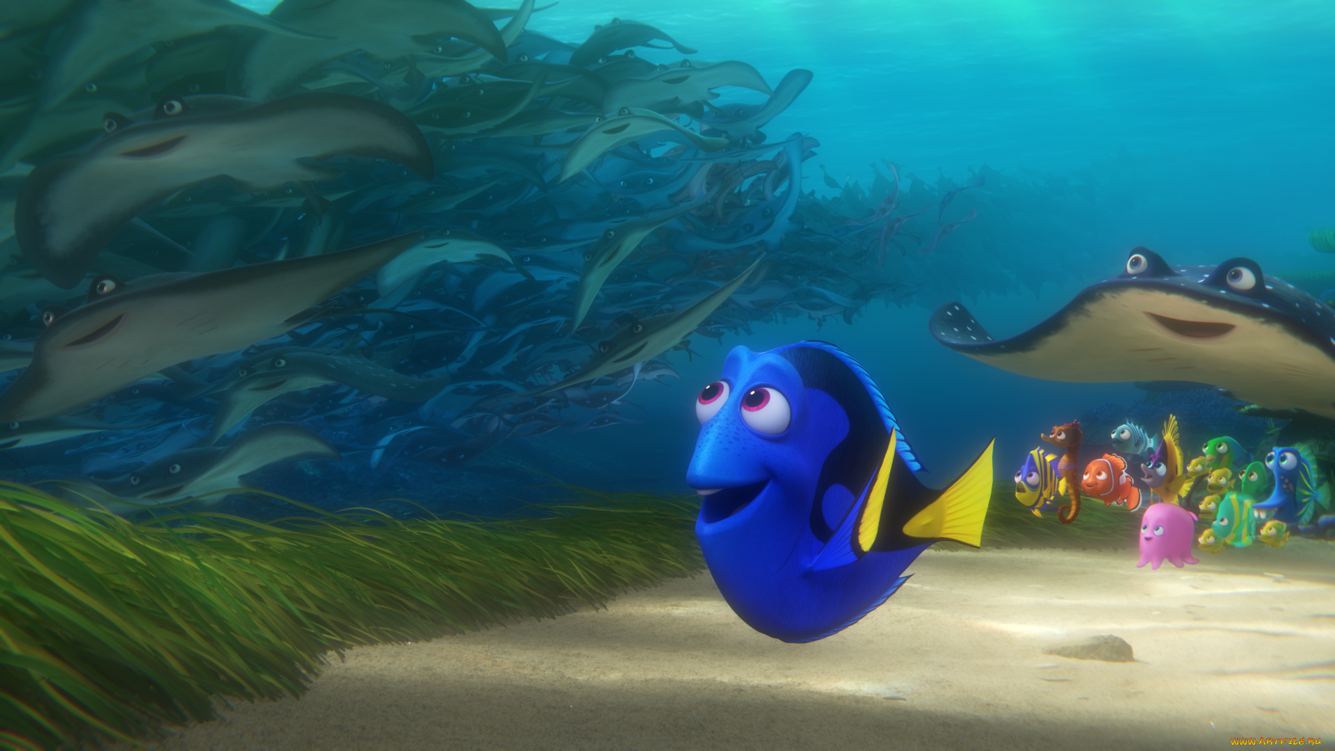 мультфильмы, finding, dory, персонаж