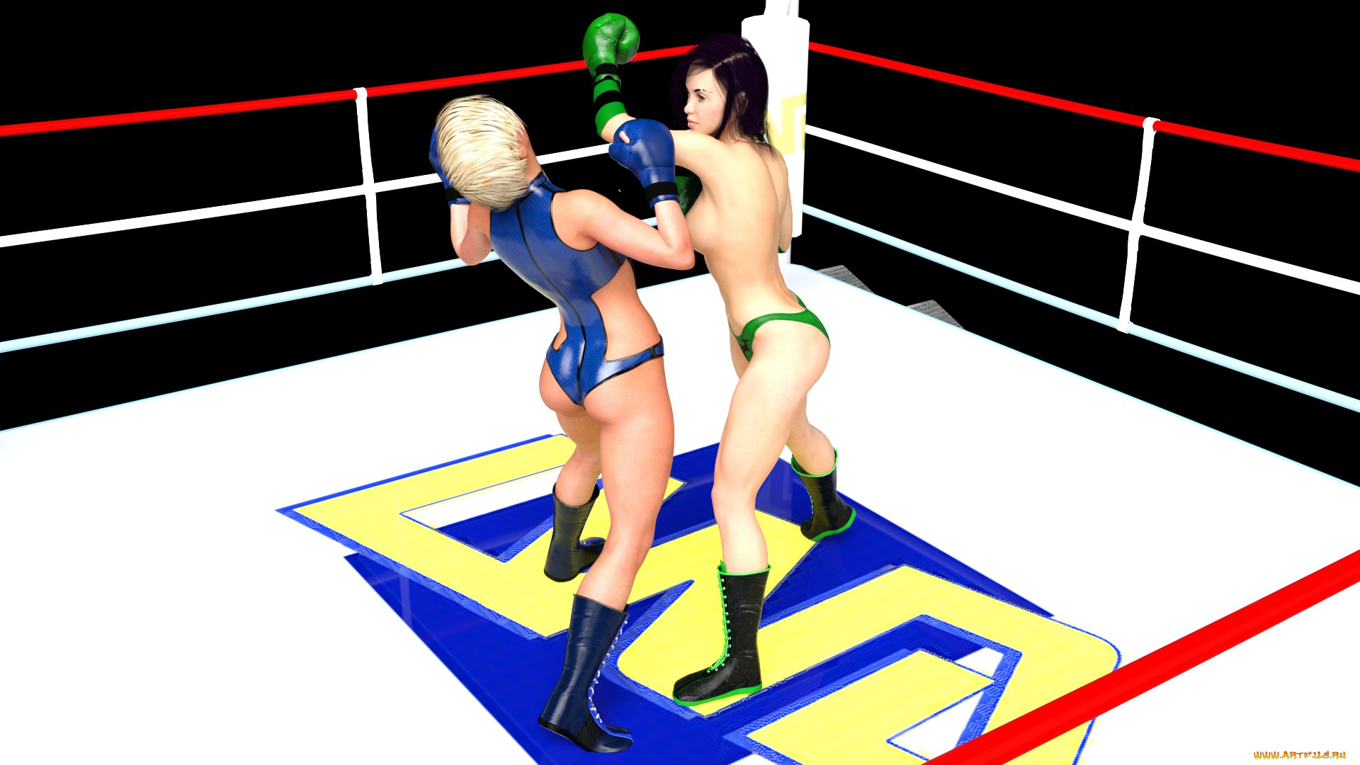 Boxing girl flash