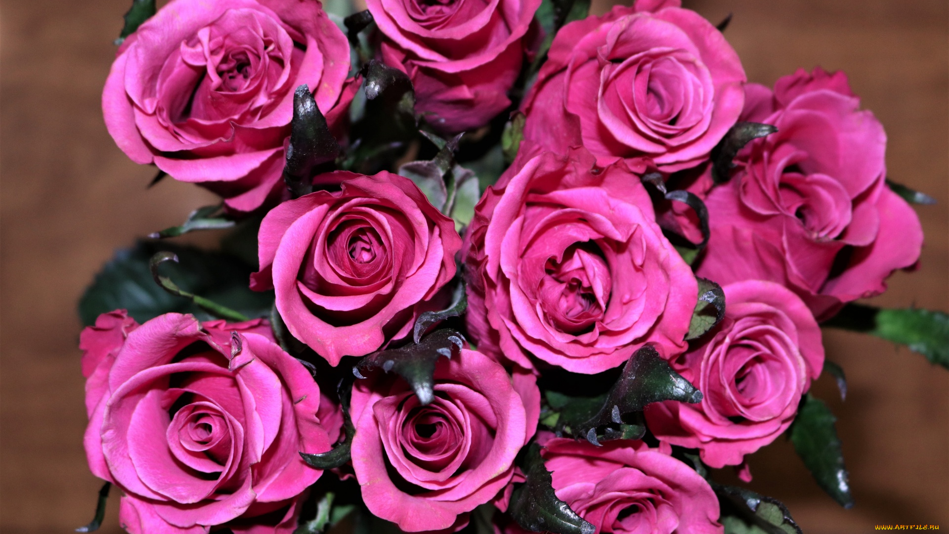 цветы, розы, бутоны, розовые