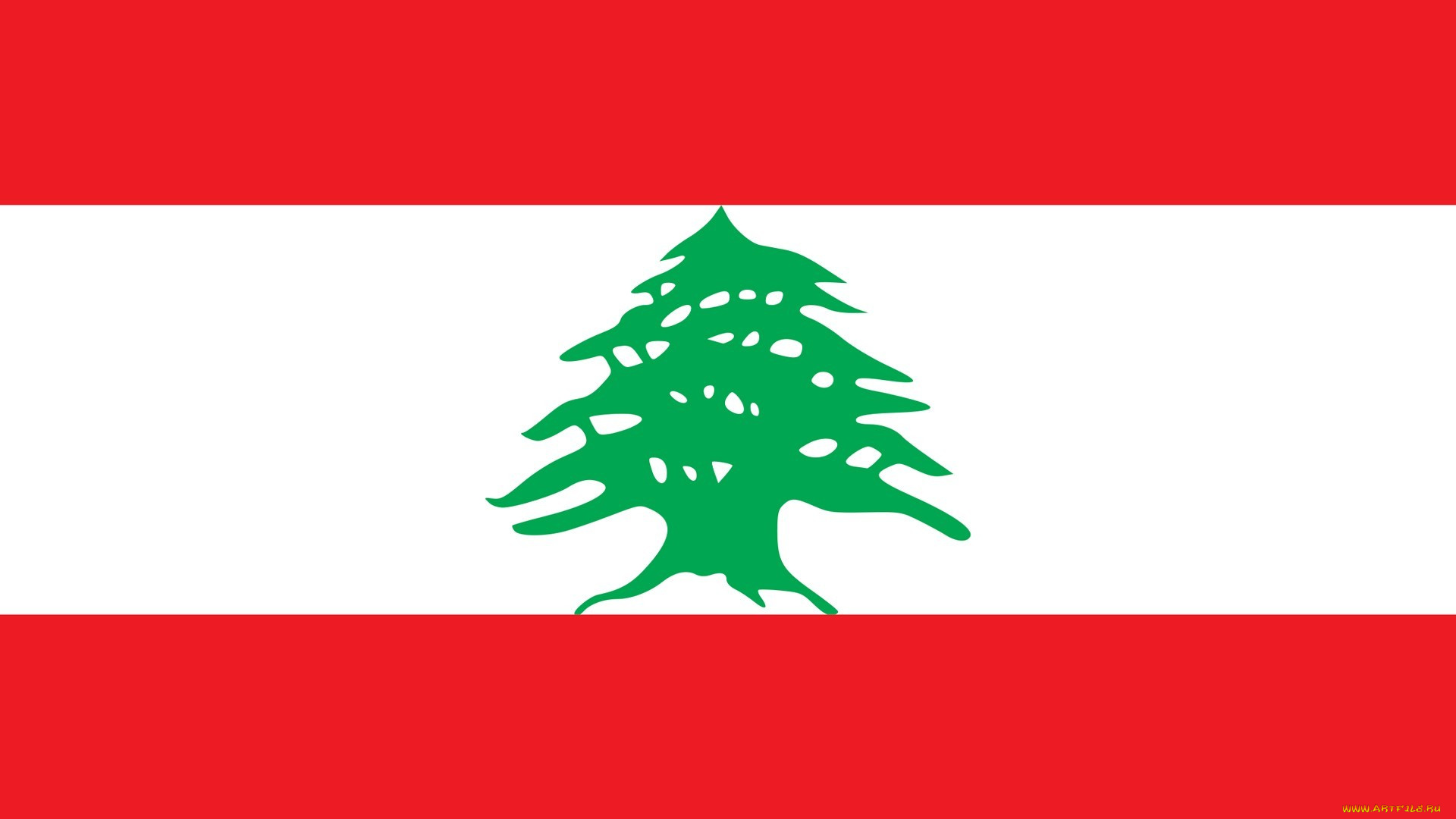 ливан, разное, флаги, гербы, дерево, красный, белый