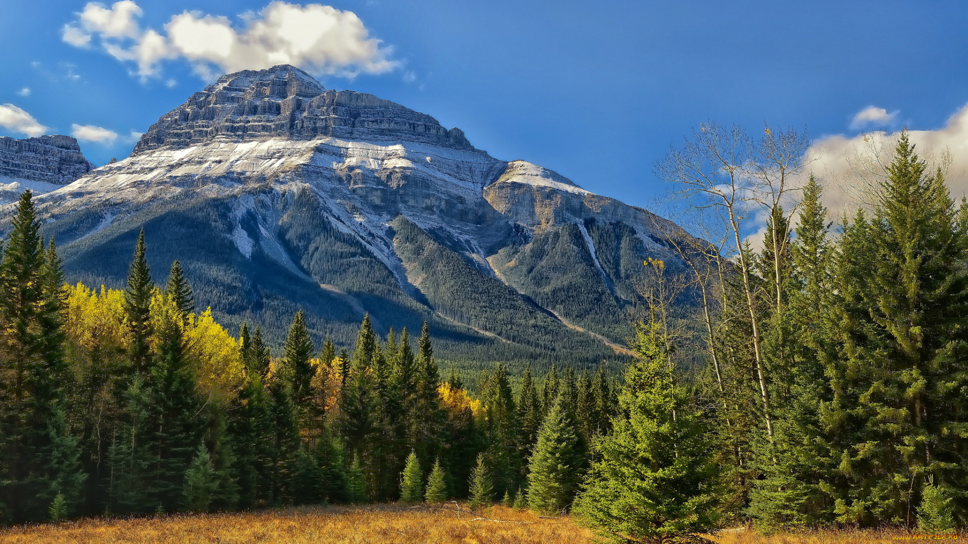 banff, national, park, alberta, canada, природа, горы, долина, боу, скалистые, банф, bow, valley, canadian, rockies