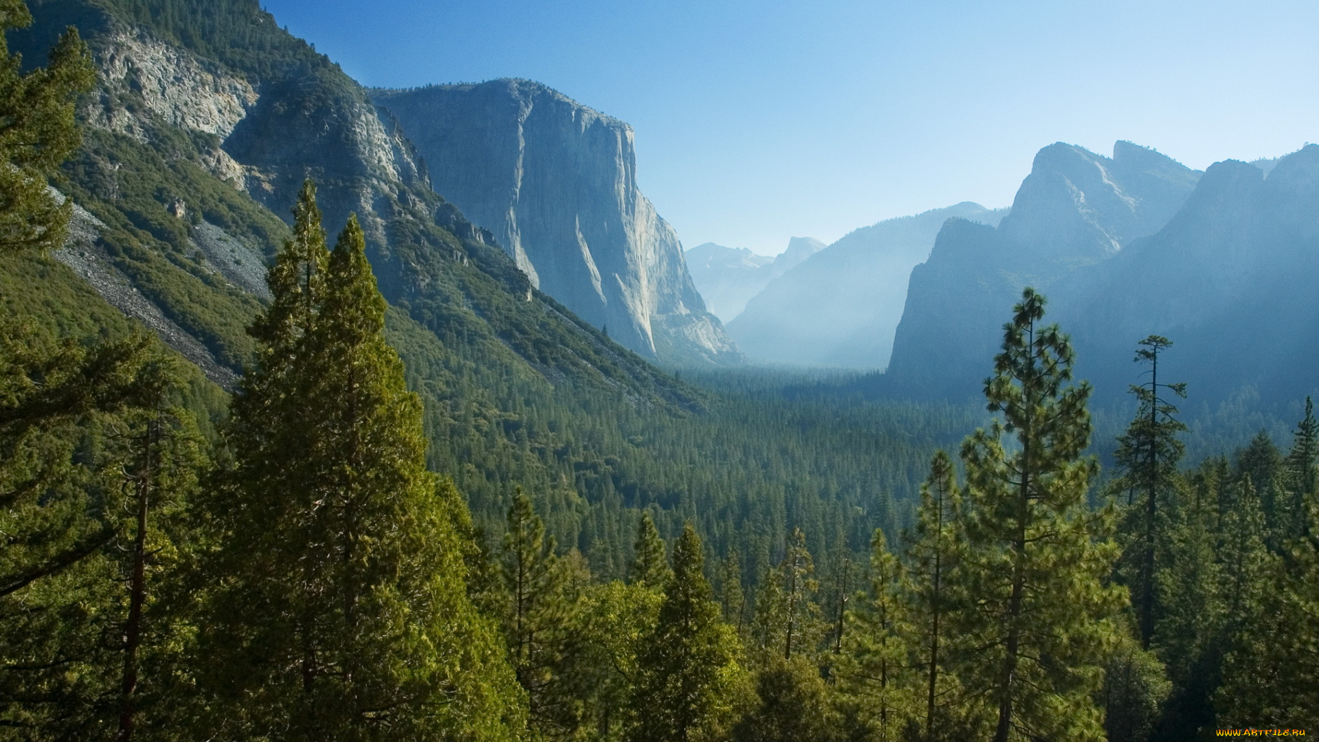 california, yosemite, national, park, природа, горы, ели