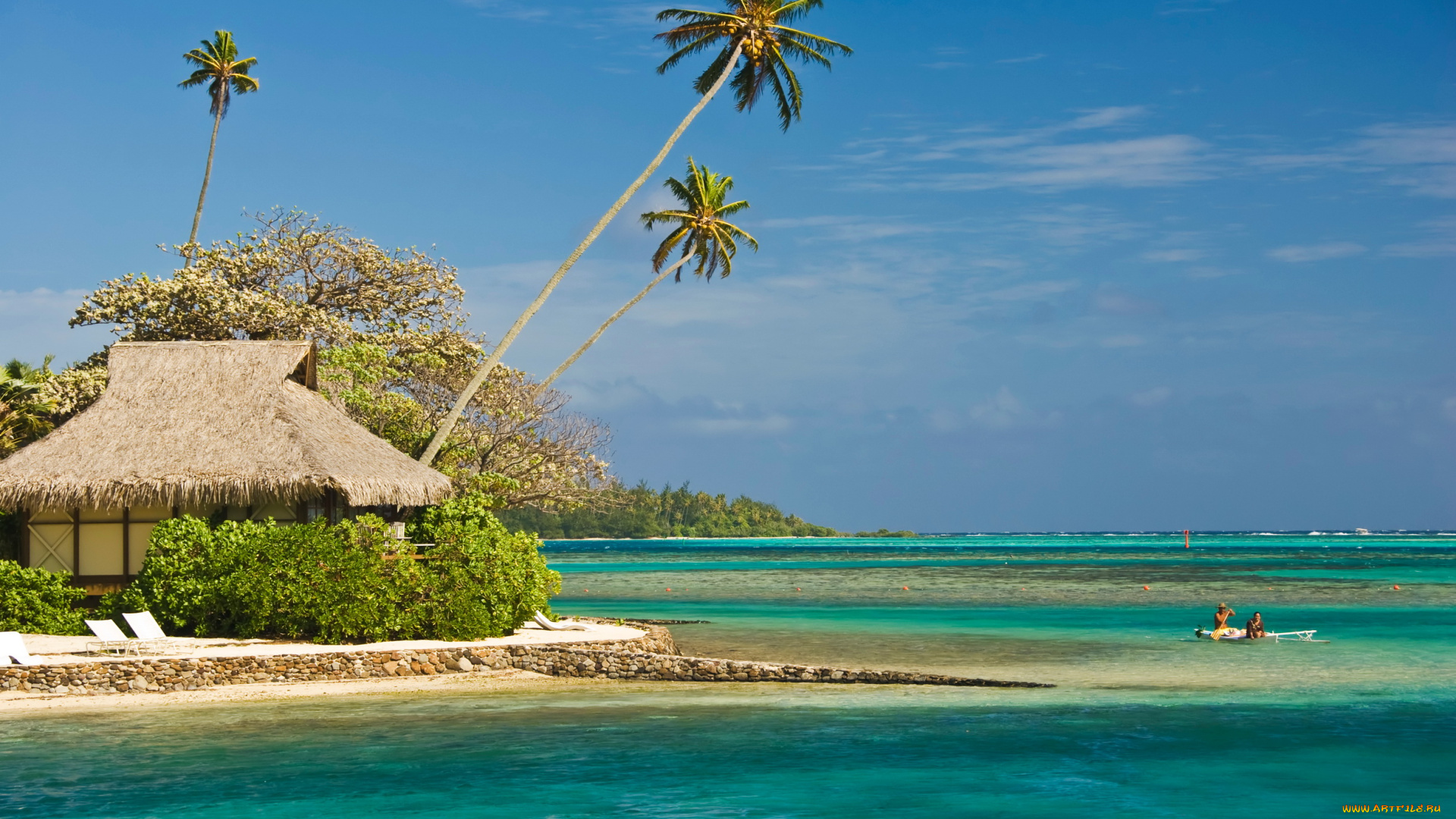 moorea, french, polynesia, природа, тропики, море, берег