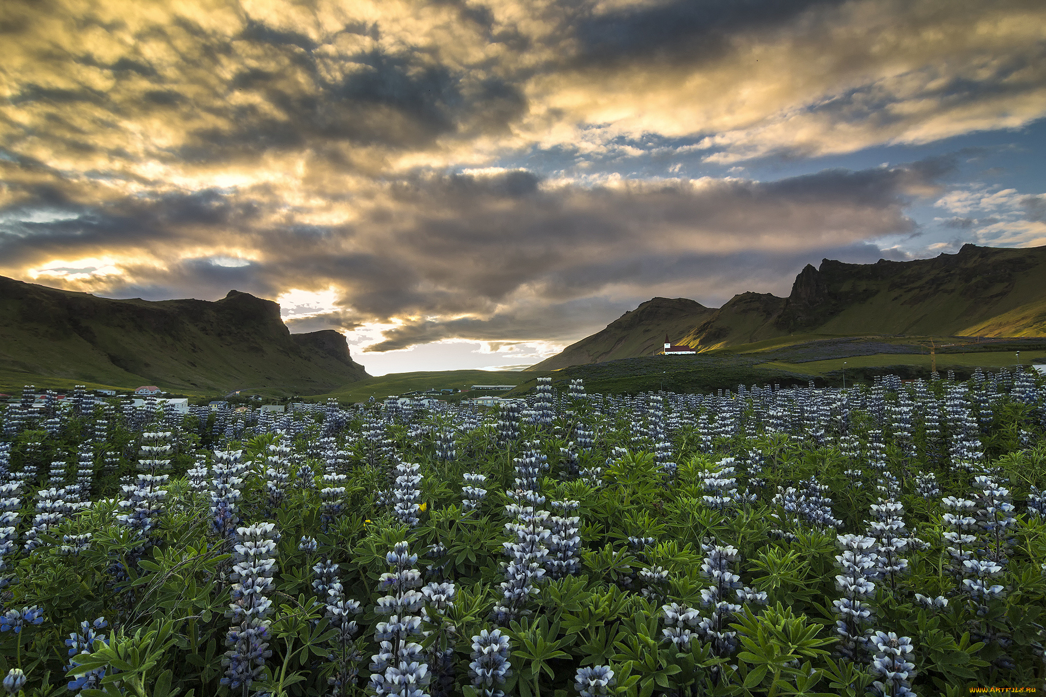 vik, myrdal, iceland, природа, луга, i, люпины, цветы, горы, исландия, вик