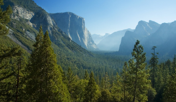 Картинка california yosemite national park природа горы ели