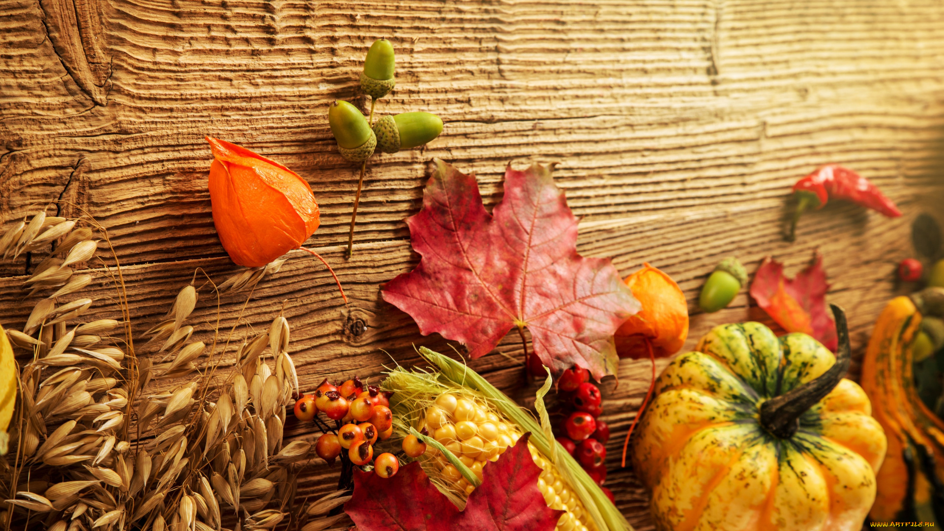 еда, овощи, урожай, тыква, кукуруза, желуди, листья, осень