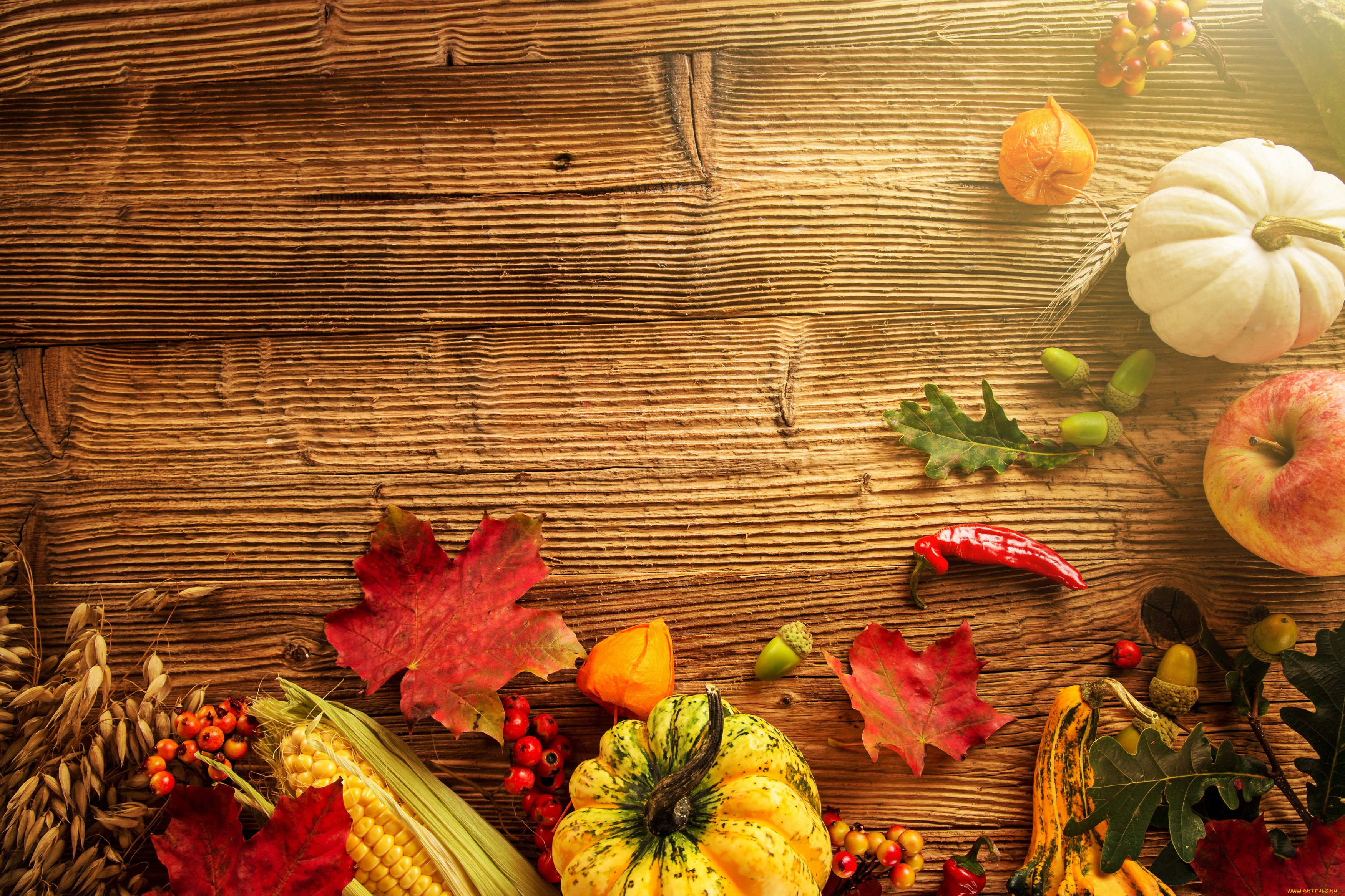 еда, фрукты, и, овощи, вместе, урожай, тыква, желуди, кукуруза, листья, осень