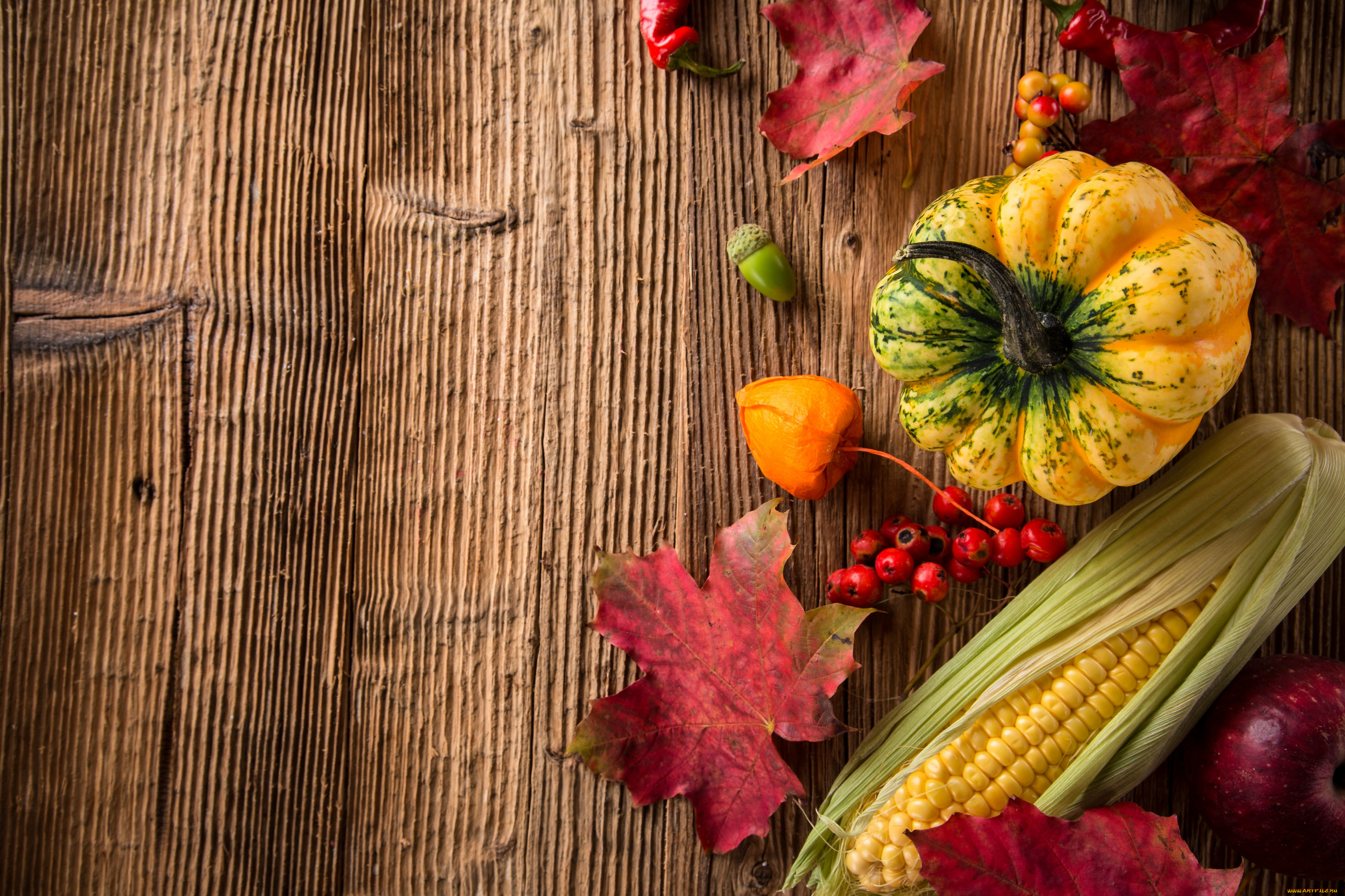 еда, овощи, тыква, осень, урожай, кукуруза, листья, желуди