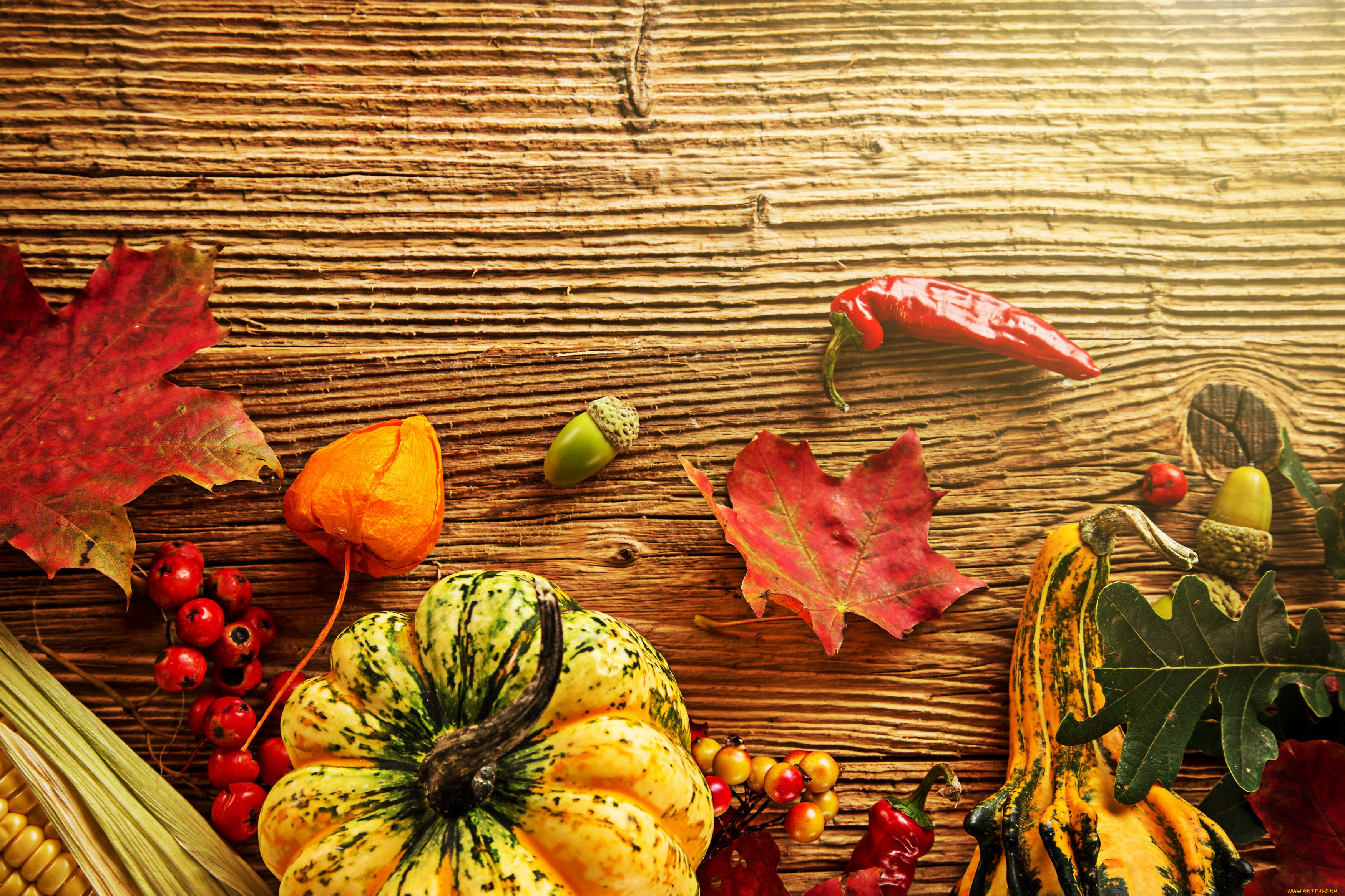 еда, тыква, урожай, осень, кукуруза, листья, желуди
