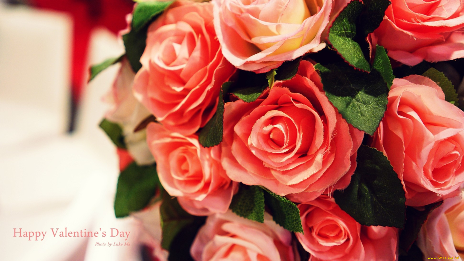 праздничные, день, святого, валентина, , сердечки, , любовь, день, святого, валентина, flowers, розы, happy, valentines, day, rose, цветы