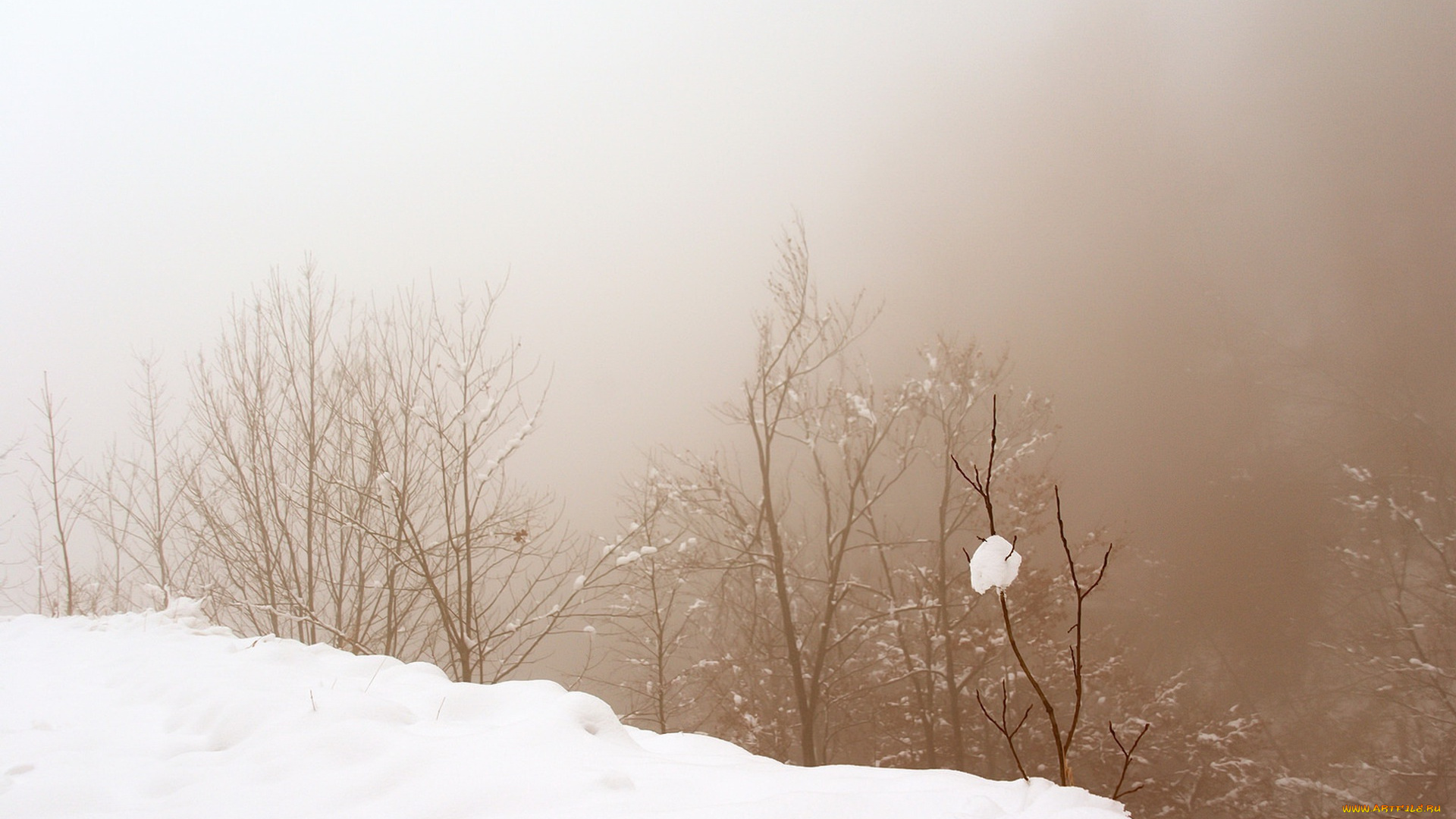 природа, зима, туман, снег