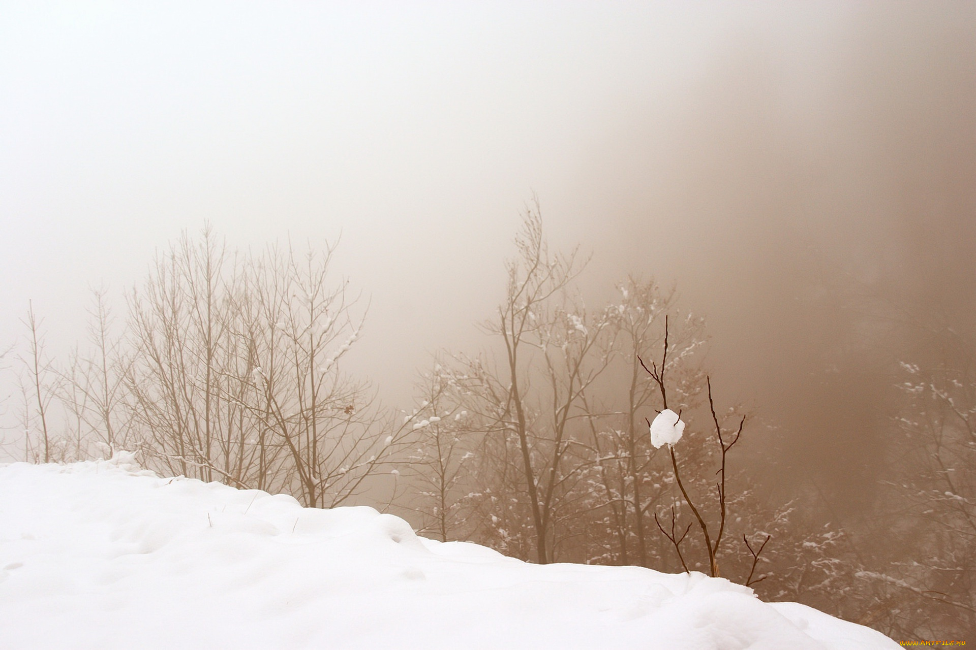 природа, зима, туман, снег