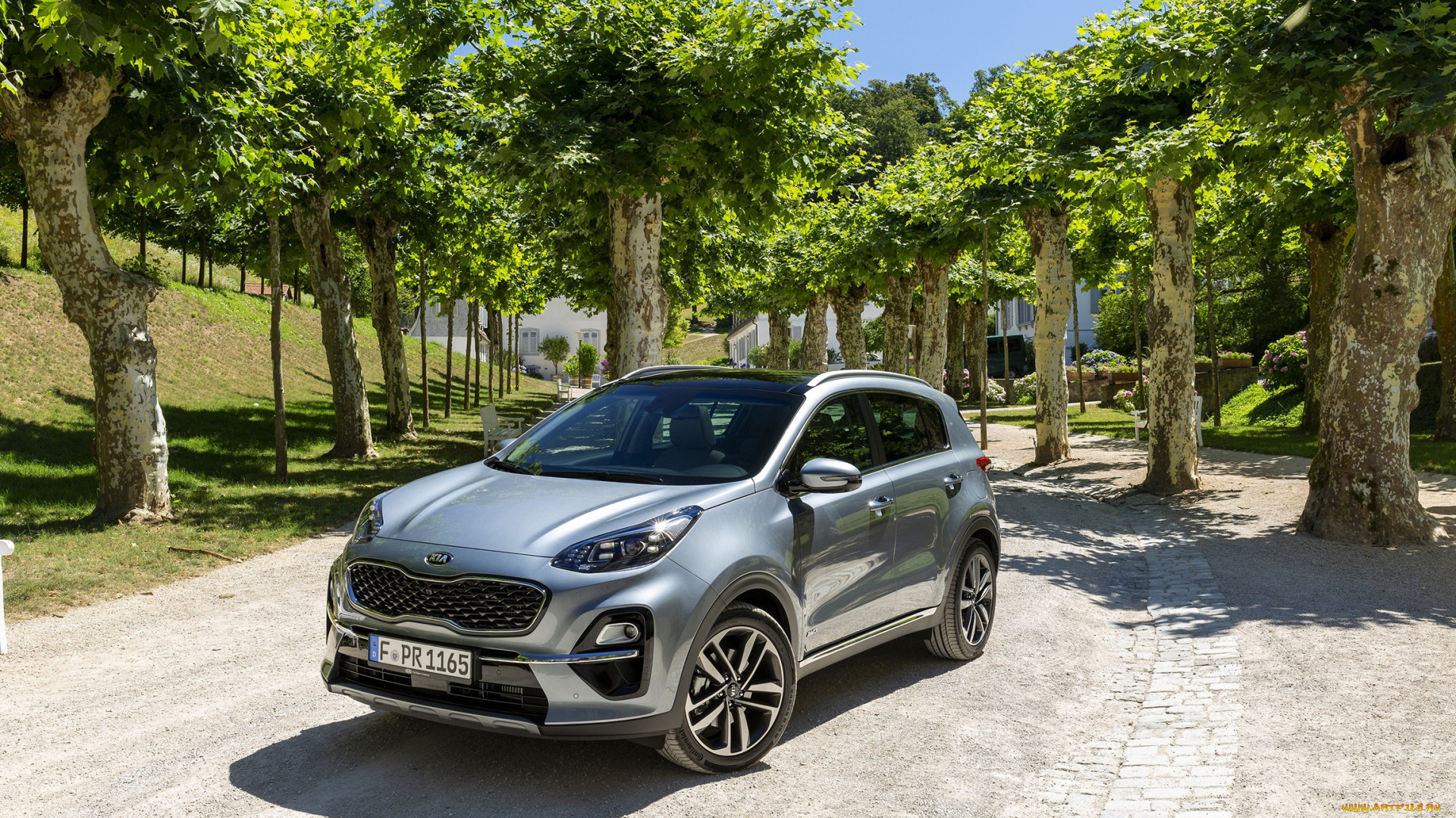 2019, kia, sportage, автомобили, kia, sportage, киа, кроссовер, корейские, серый, 2019