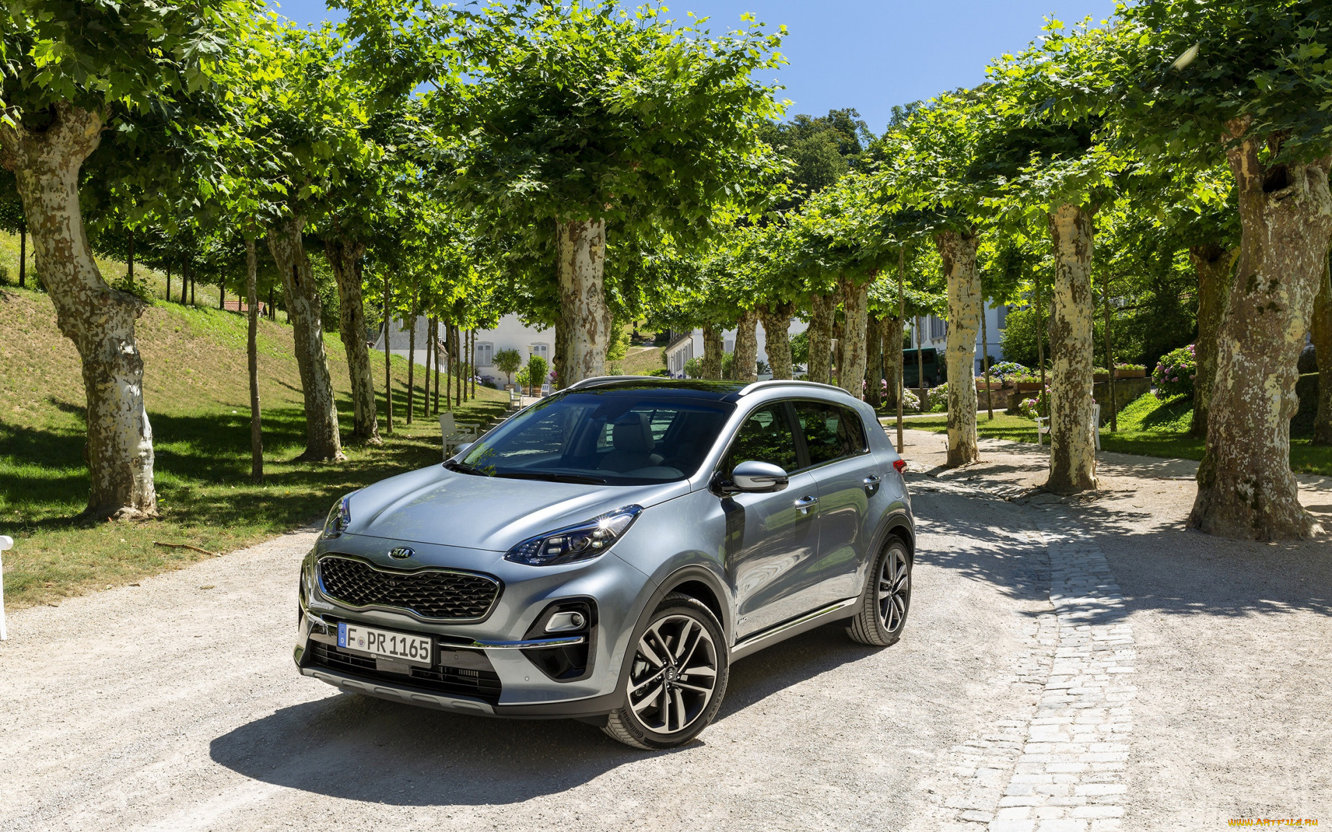 2019, kia, sportage, автомобили, kia, sportage, киа, кроссовер, корейские, серый, 2019