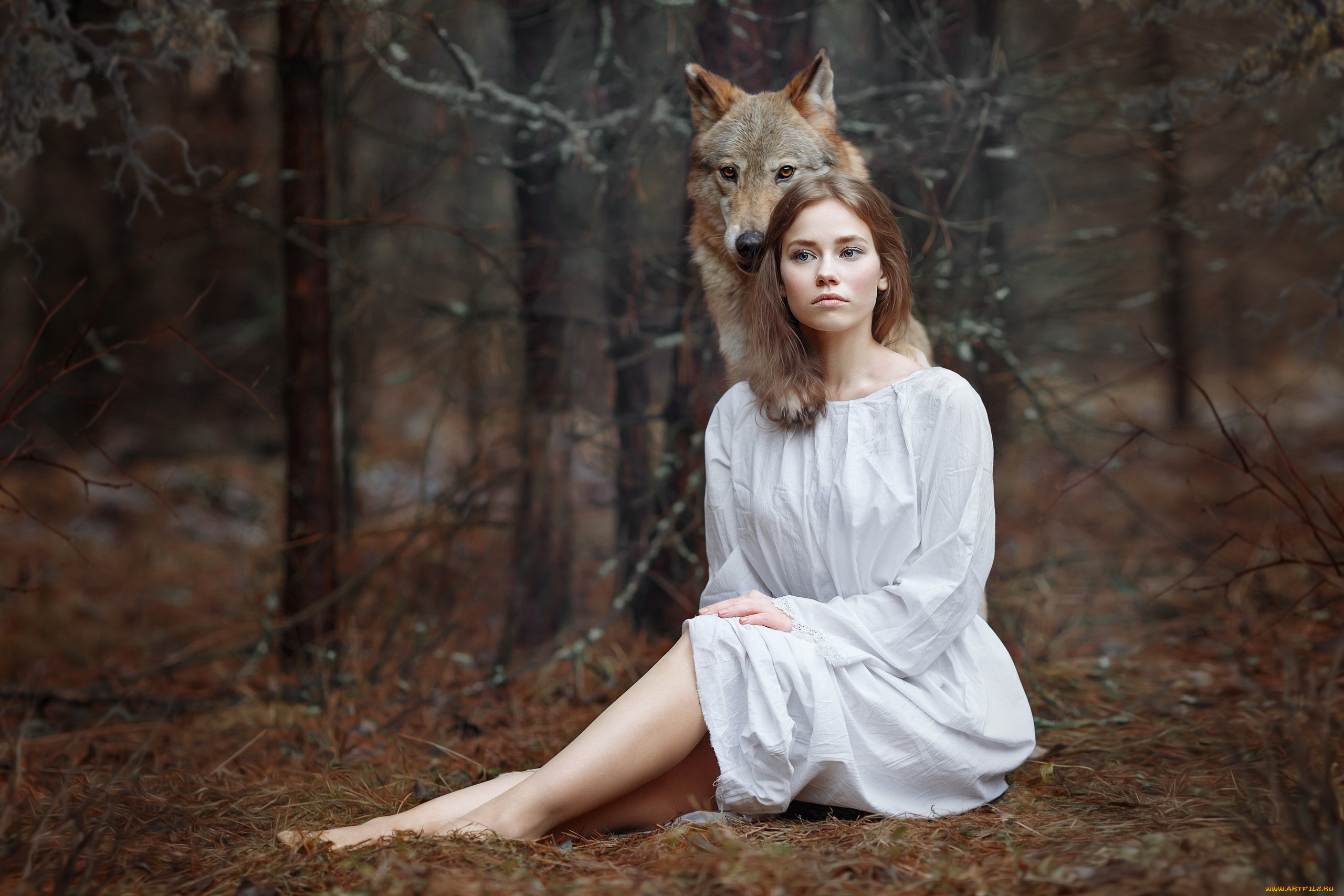 Лесные красавицы фото. Девушка с волком. Волчица и девушка. Лесная девушка. Девушка с волком в лесу.