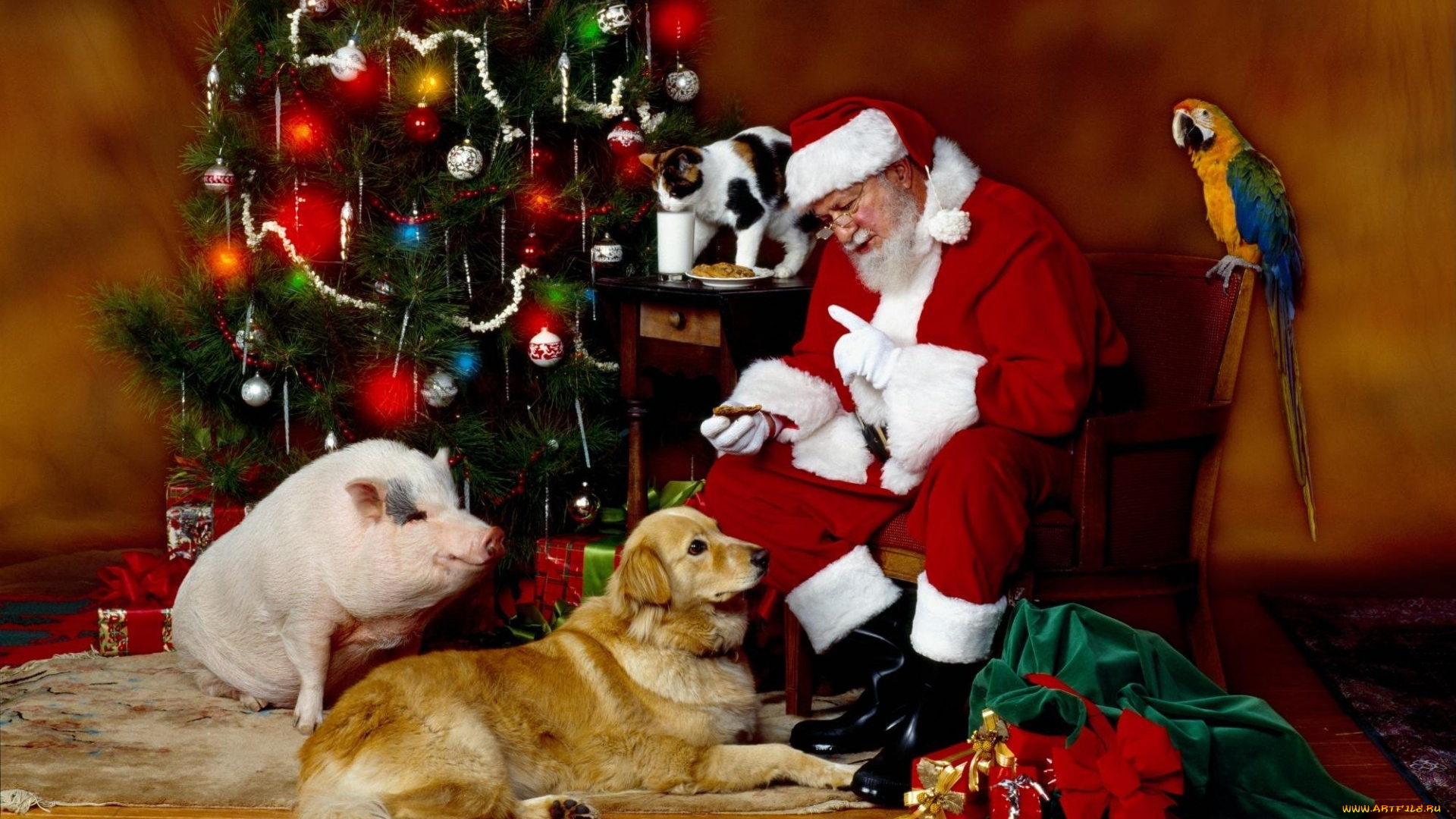 праздничные, дед, мороз, ёлка, попугай, собака, подарки, кот, свинья