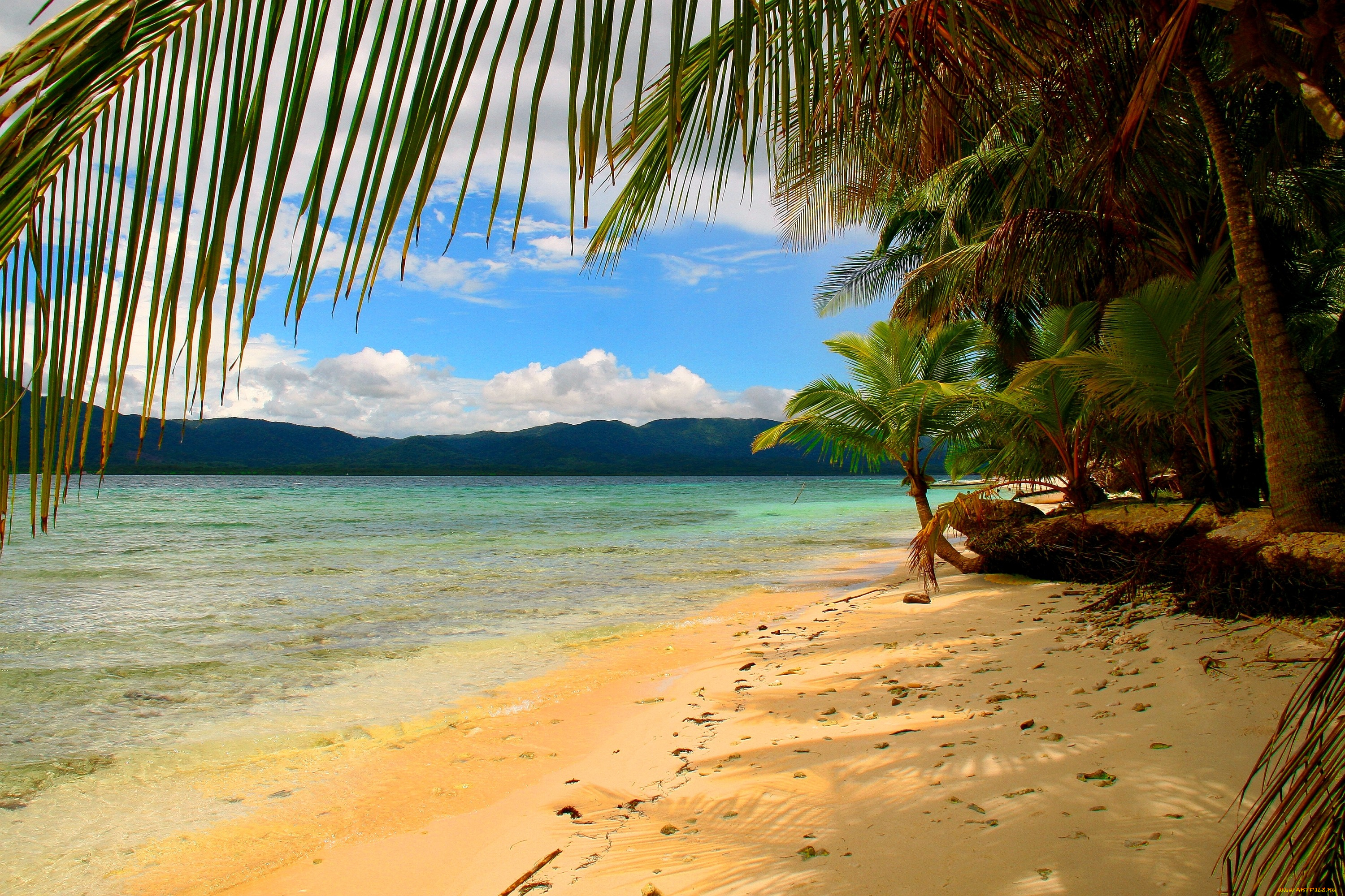 Покажи красивый пляж. Парадиз остров Карибского моря. Панама пляж Шри-Ланка. Панама Карибское море. Пляж с пальмами.