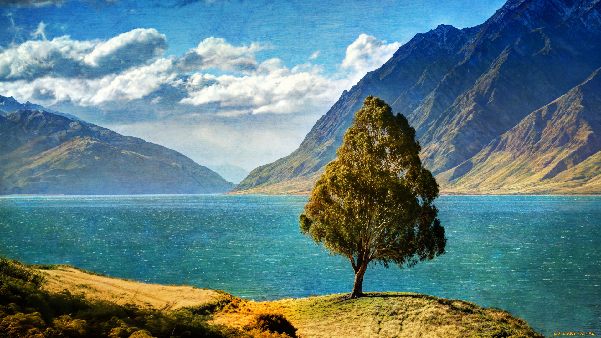 природа, деревья, новая, зеландия, озеро, горы, пейзаж