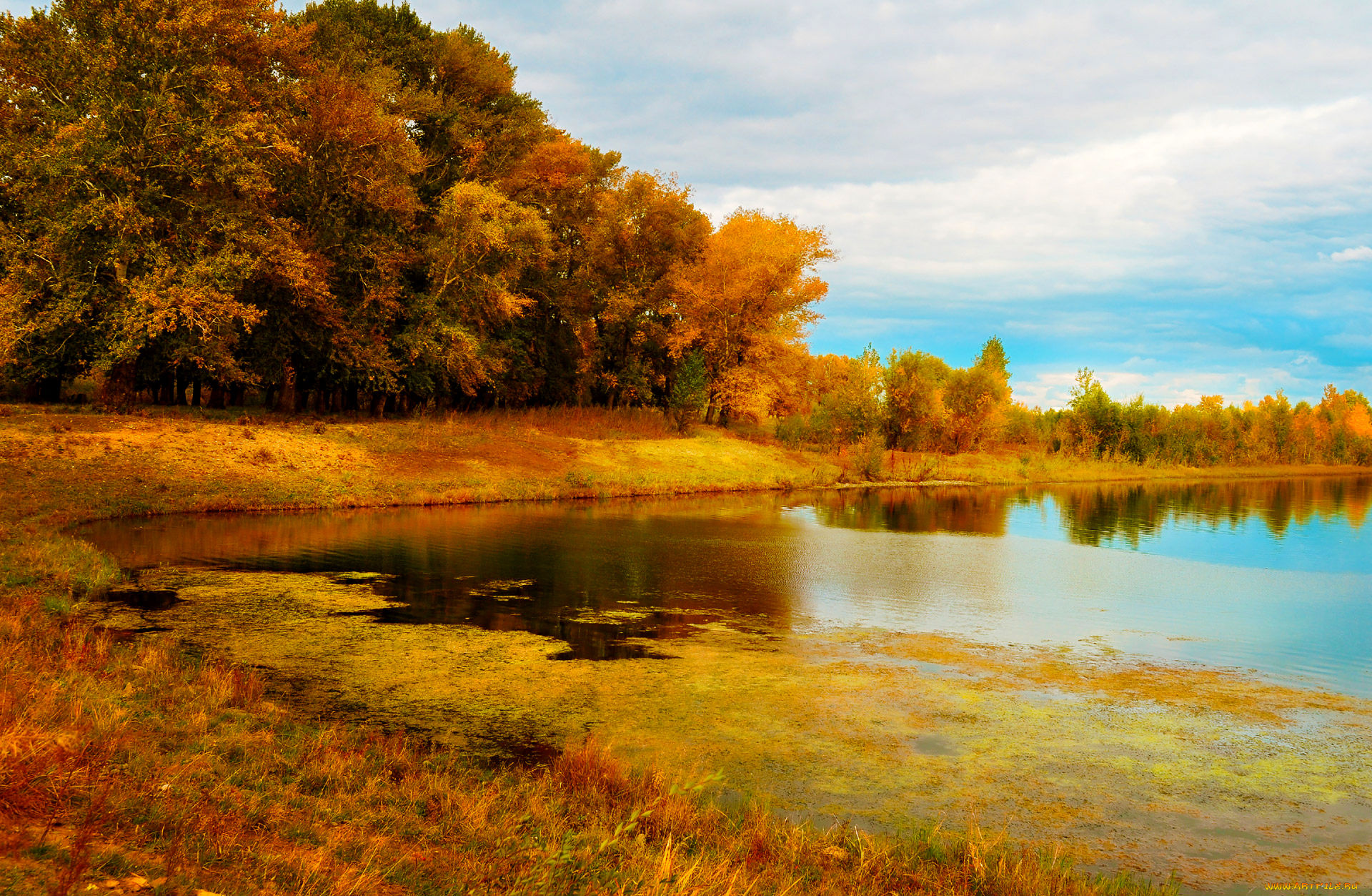 природа, реки, озера, озеро, осень, деревья, желтые, кроны