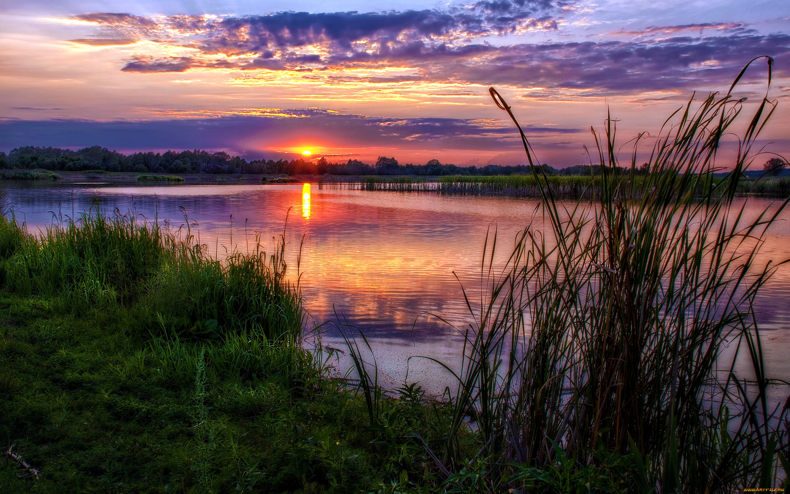 природа, восходы, закаты, вечер, солнце, трава, лес, река, красота