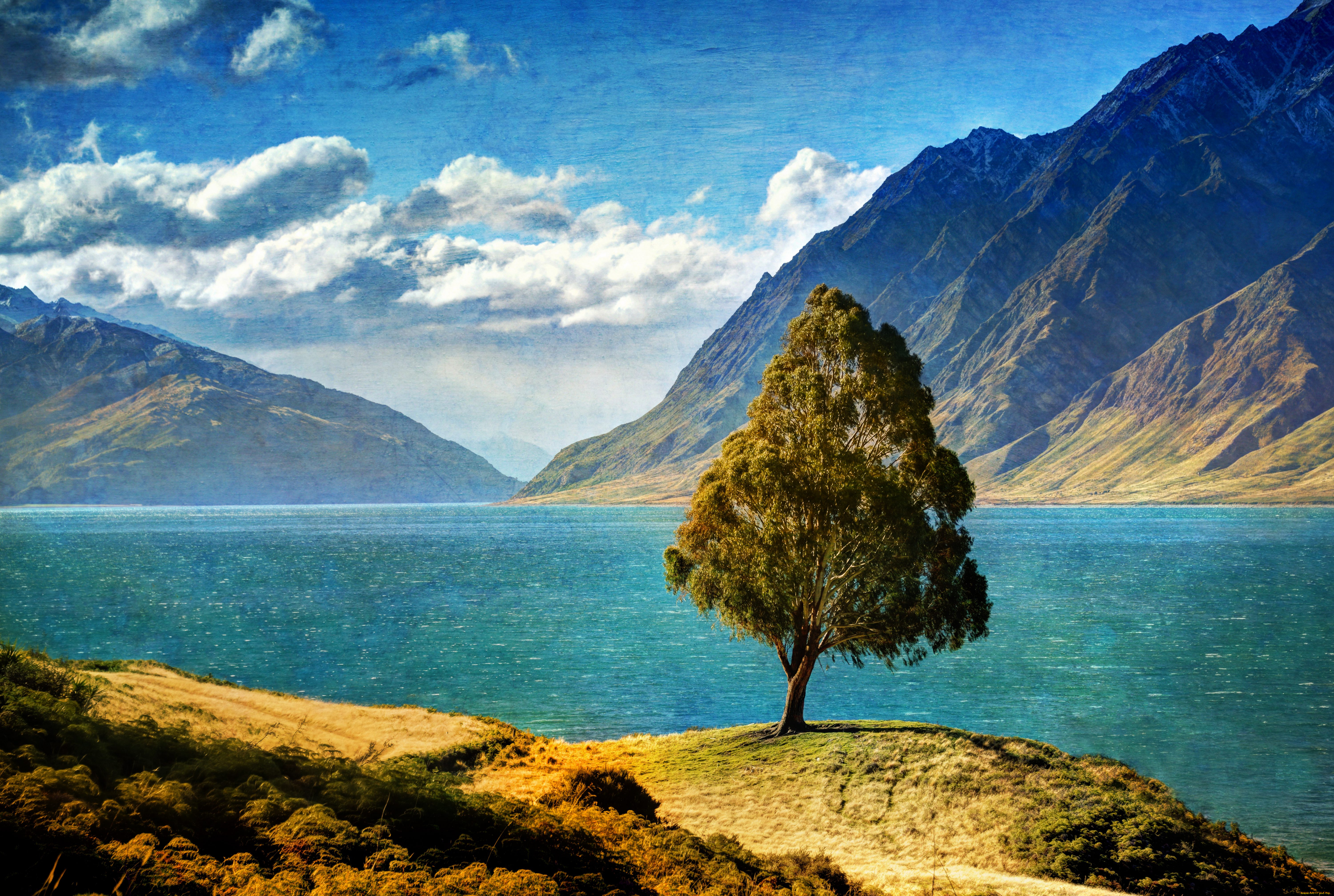 природа, деревья, новая, зеландия, озеро, горы, пейзаж