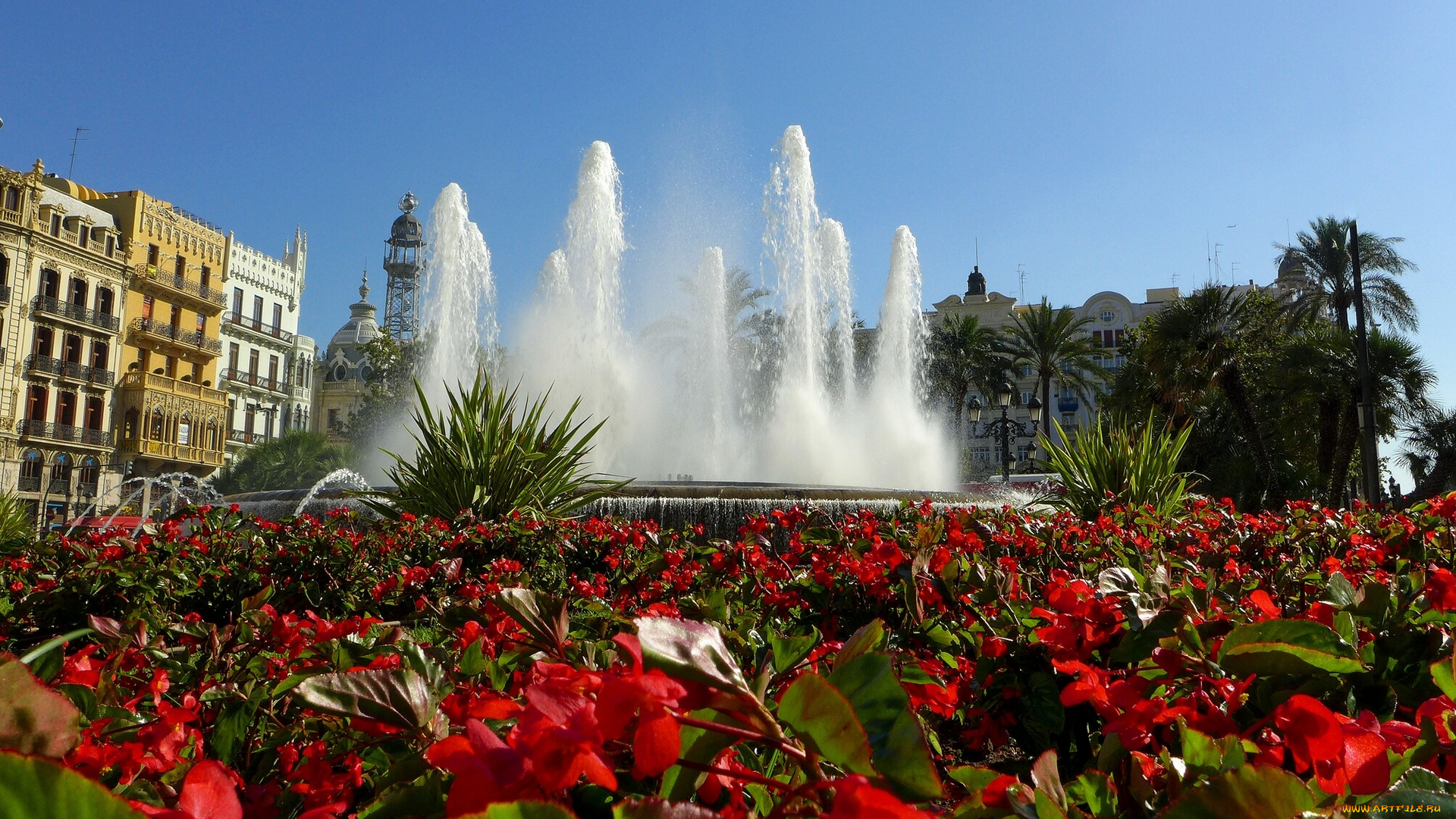 valencia, spain, города, фонтаны, клумба, испания, фонтан, цветы, бегонии, валенсия