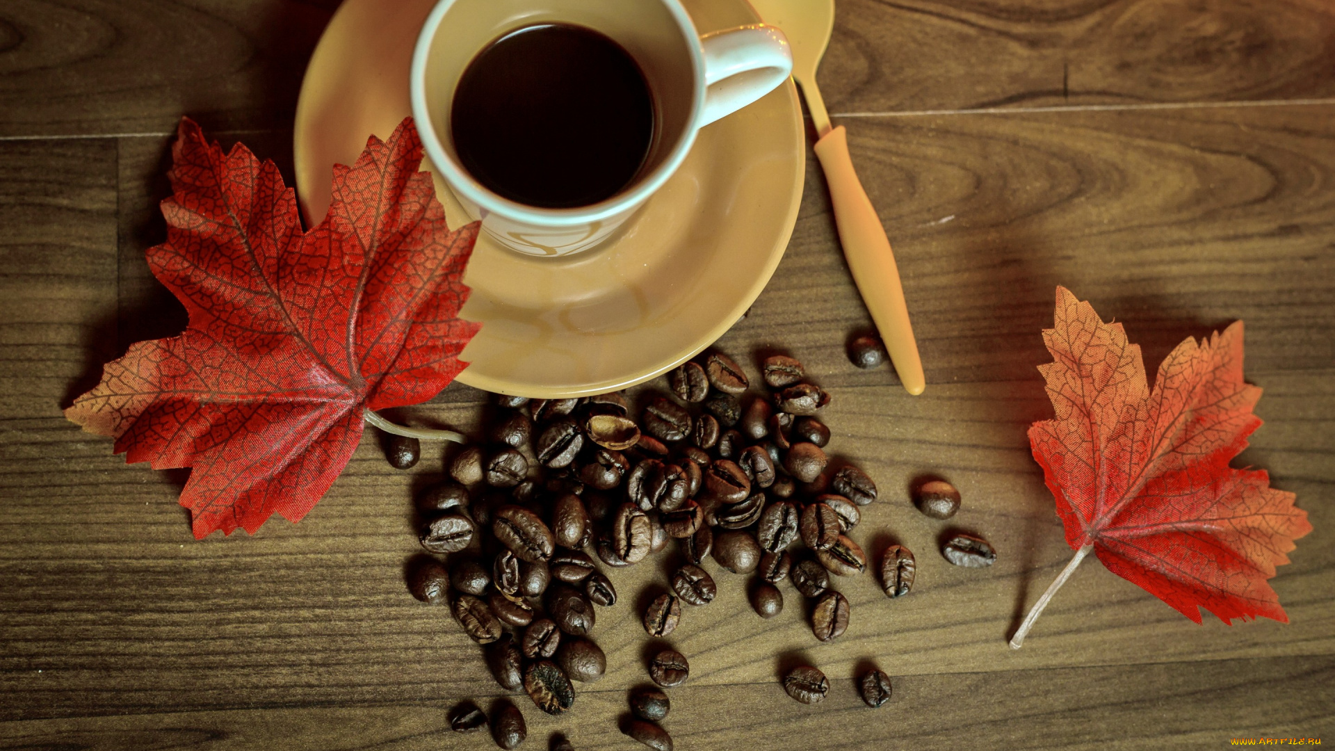 еда, кофе, , кофейные, зёрна, coffee, leaves, cup, beans, осень, книга, чашка, autumn