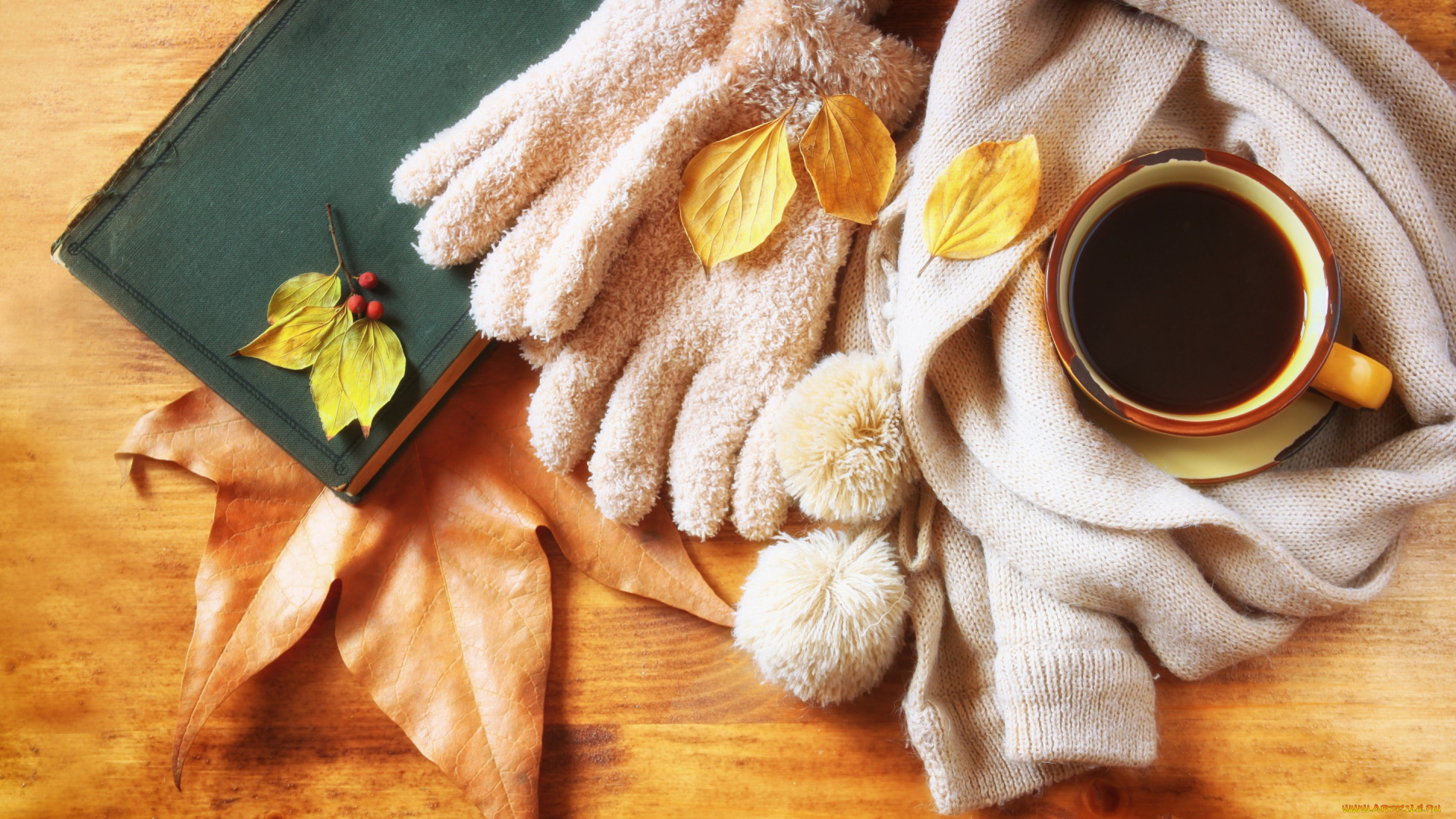 еда, кофе, , кофейные, зёрна, hot, cup, coffee, autumn, листья, шарф, чашка, осень, leaves