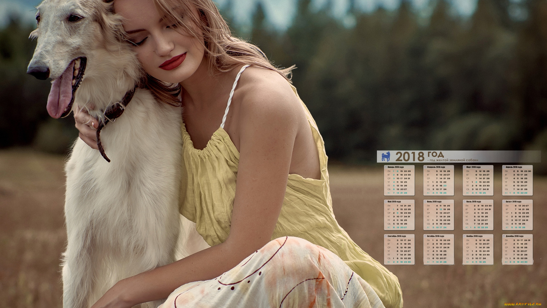 календари, девушки, растения, взгляд, собака
