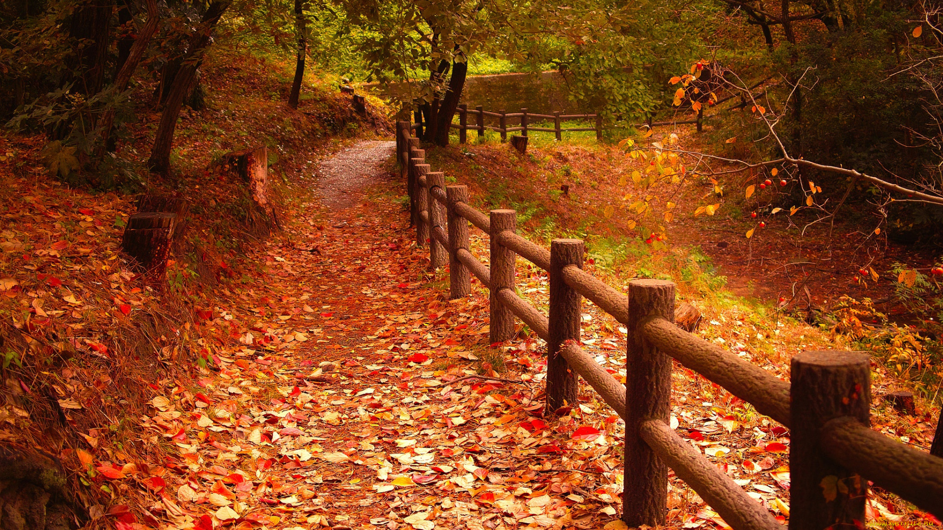 природа, дороги, тропинка, забор, парк, деревья, листья, осень