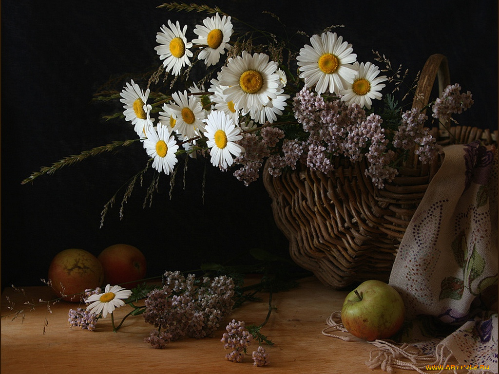 ири©ка, ромашками, цветы, букеты, композиции