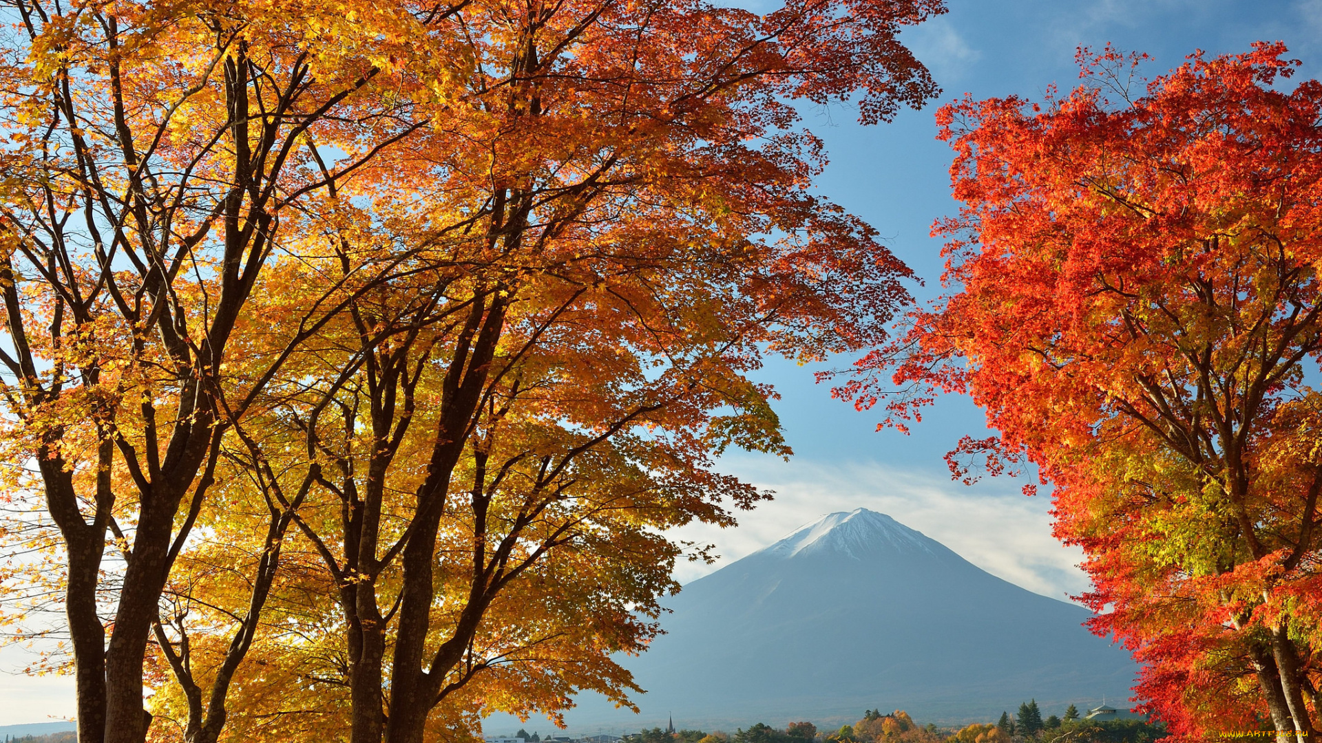 природа, деревья, Япония, дома, листья, осень, озеро, небо, гора, фудзияма