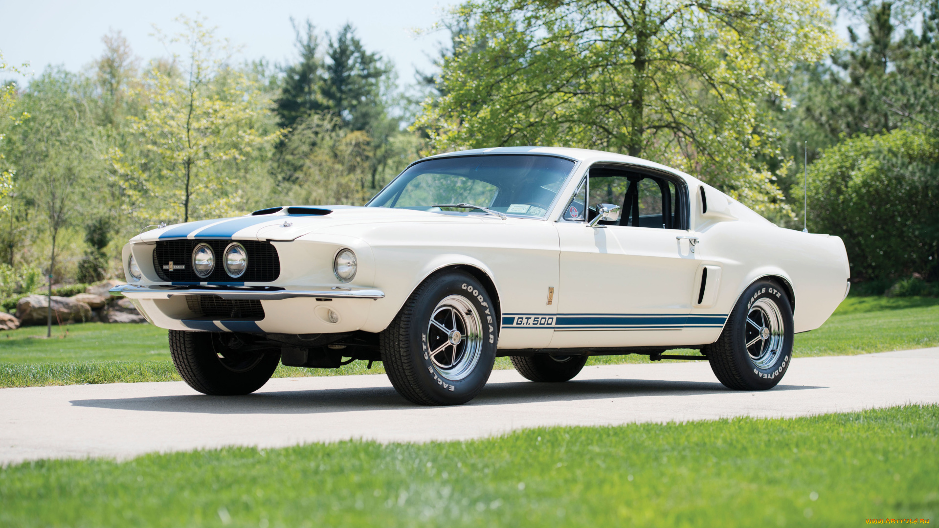 shelby, gt500, with, lemans, stripes, option, автомобили, mustang, shelby