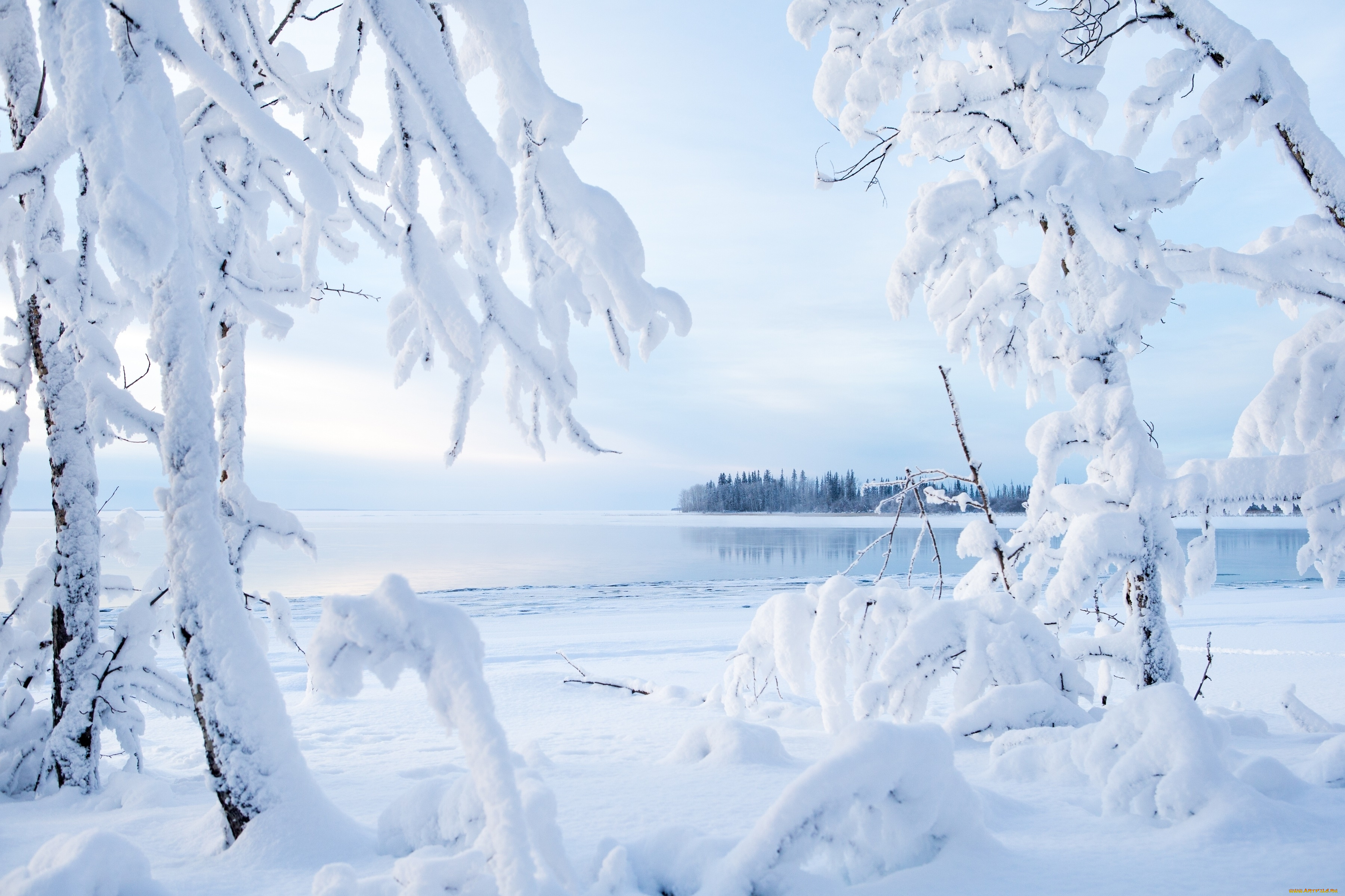 природа, зима, деревья, озеро, снег