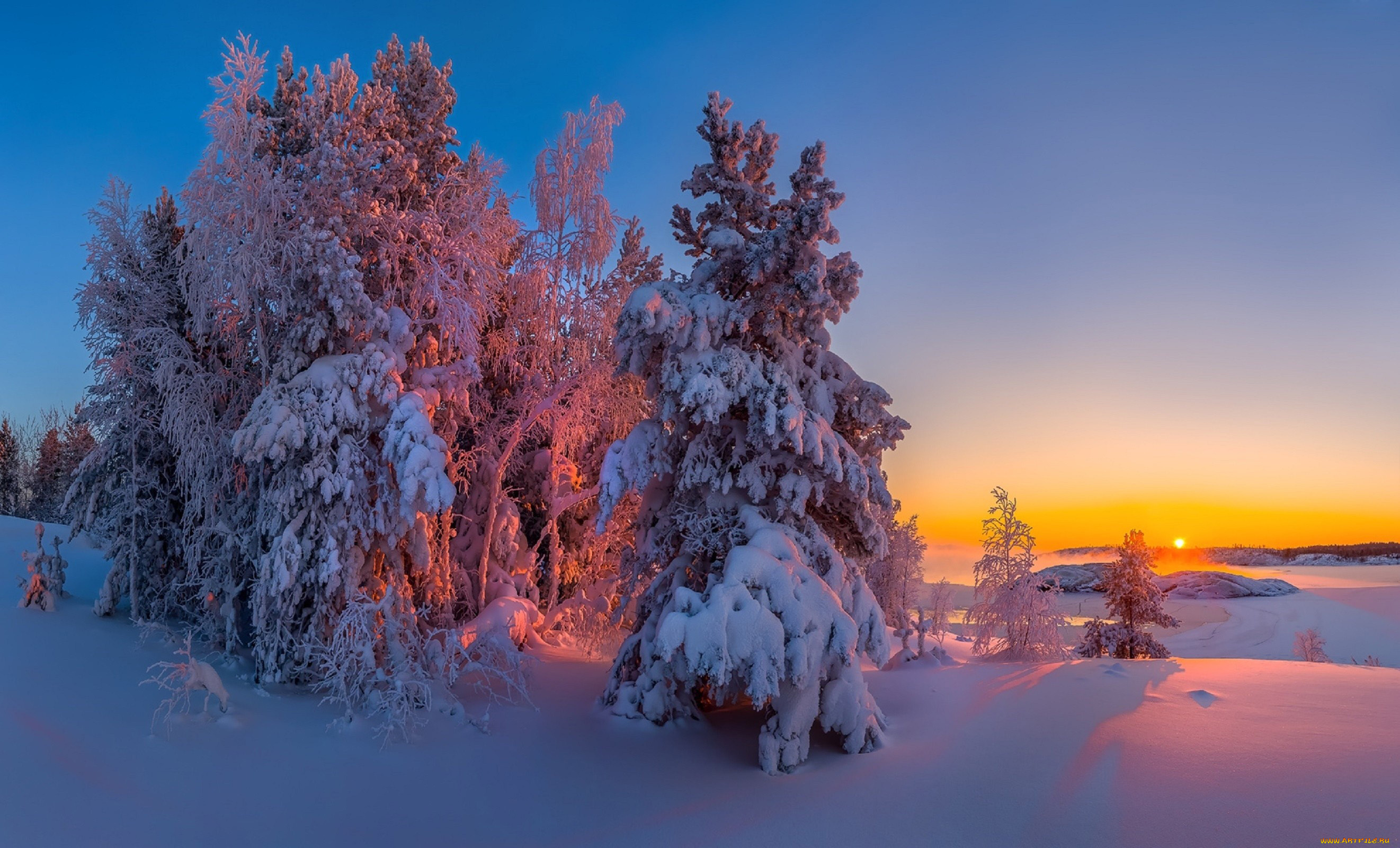 природа, зима, деревья, снег, сугробы