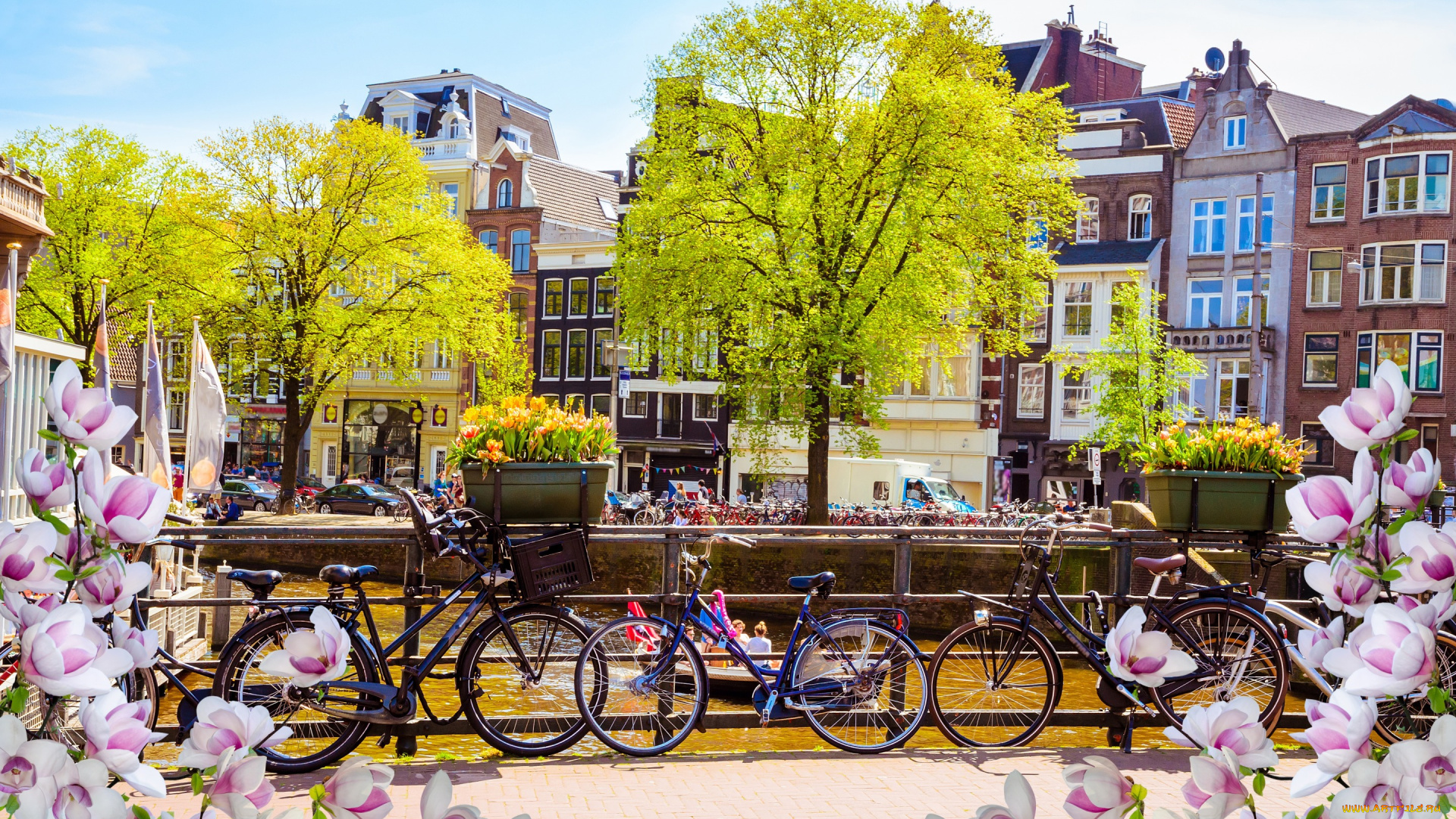 города, амстердам, , нидерланды, весна, река, цветение, buildings, canal, амстердам
