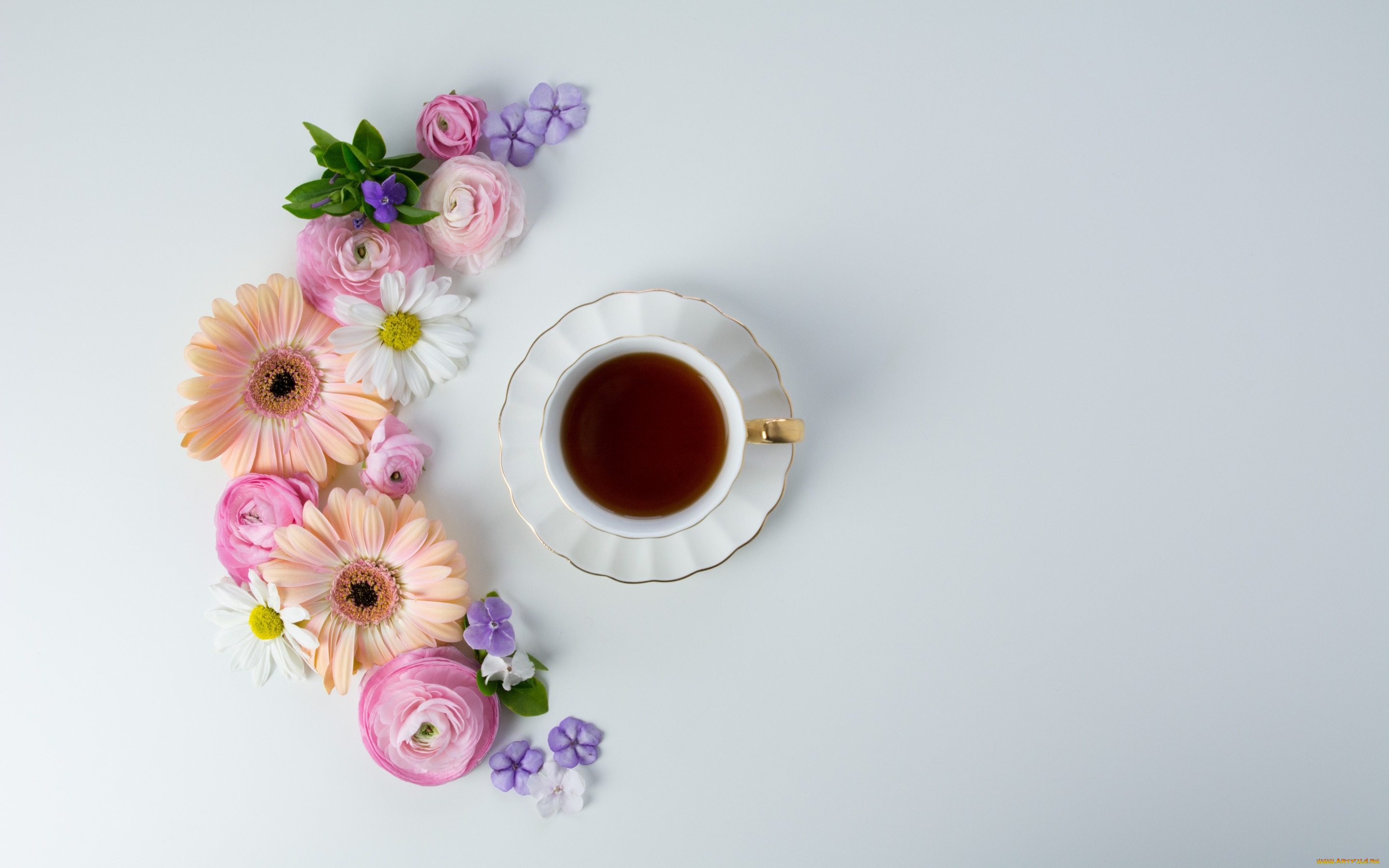 еда, кофе, , кофейные, зёрна, pink, coffee, tender, чашка, cup, flowers, цветы