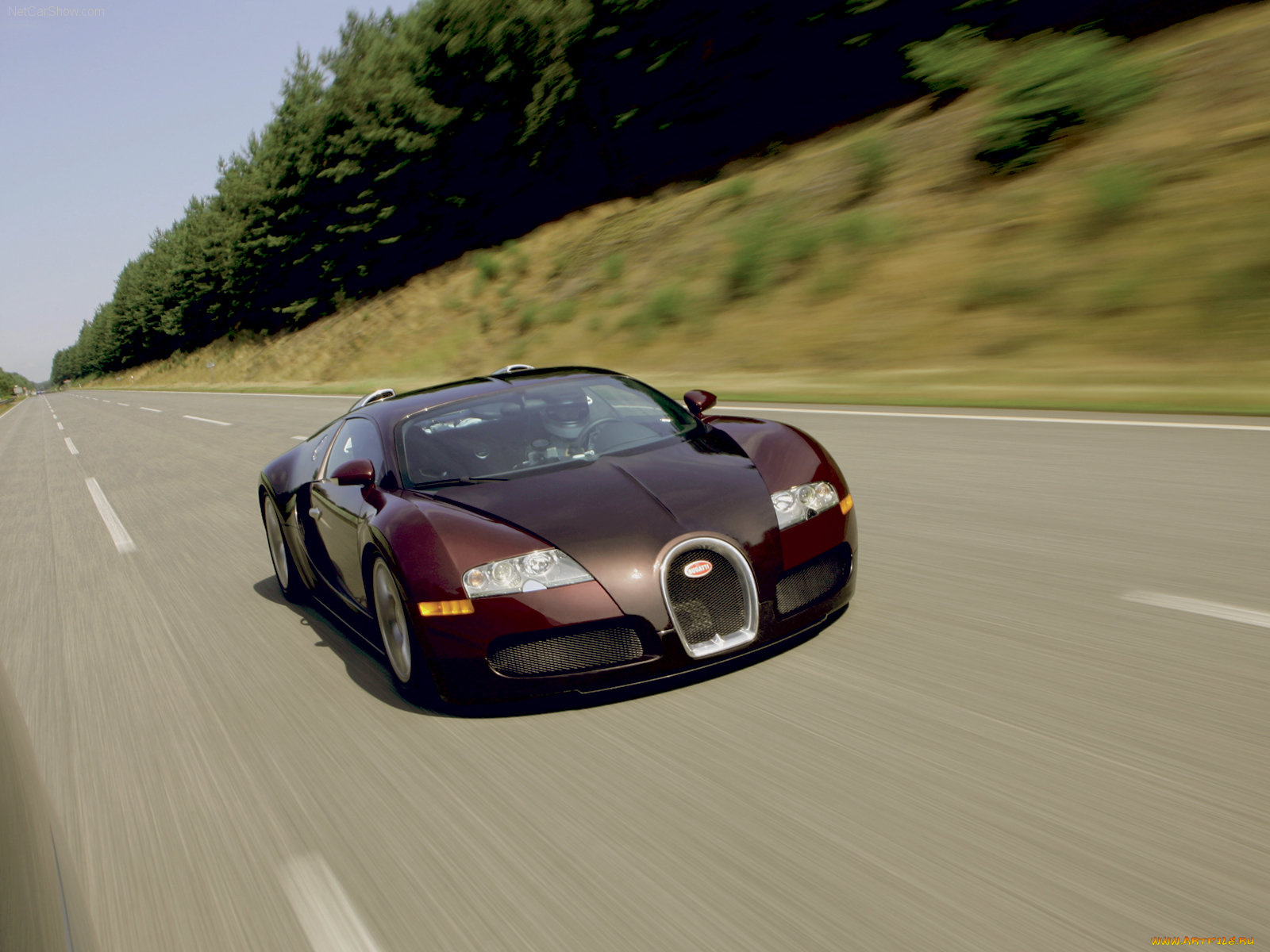 bugatti, veyron, 2005, автомобили