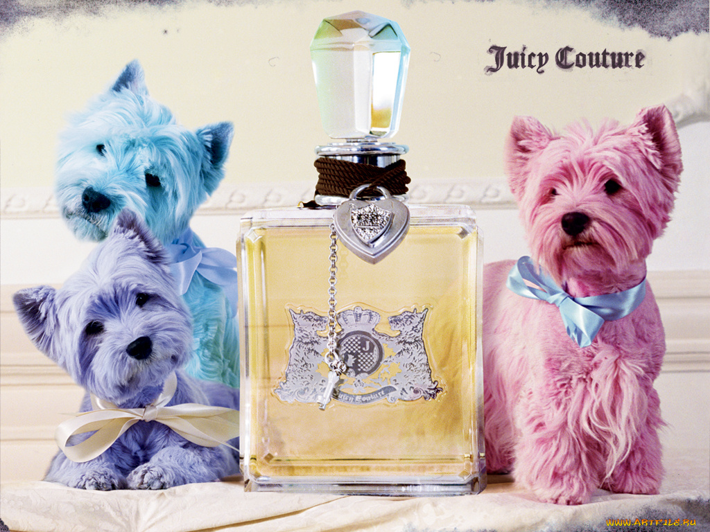 juicy, couture, бренды