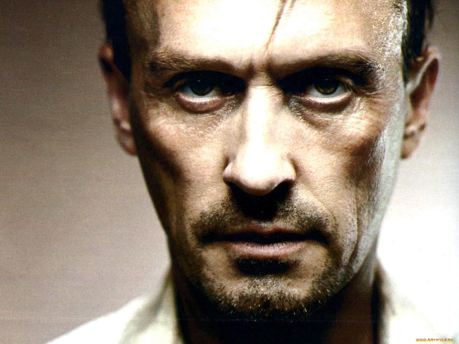 robert, knepper, мужчины