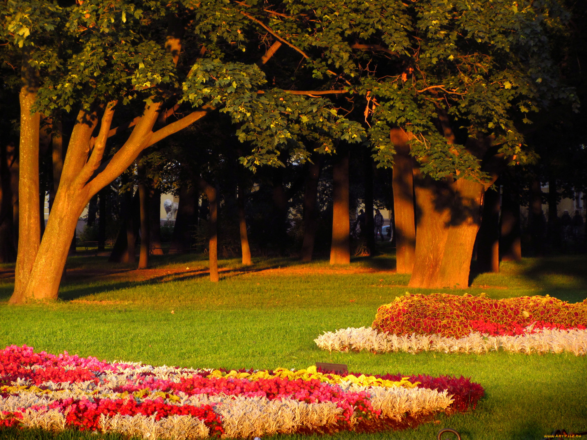 санкт, петербург, природа, парк, деревья, цветы
