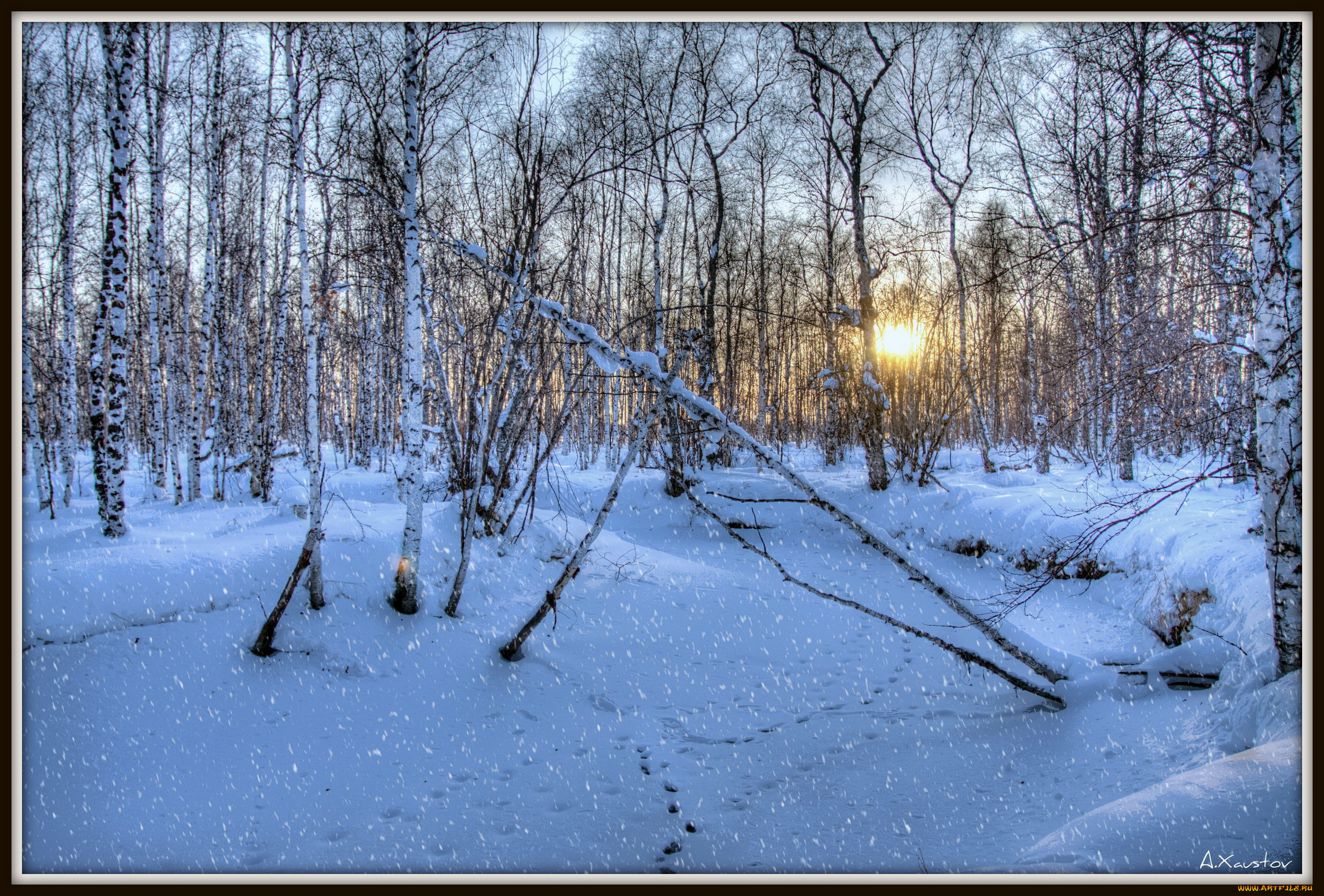природа, зима, лес, снег