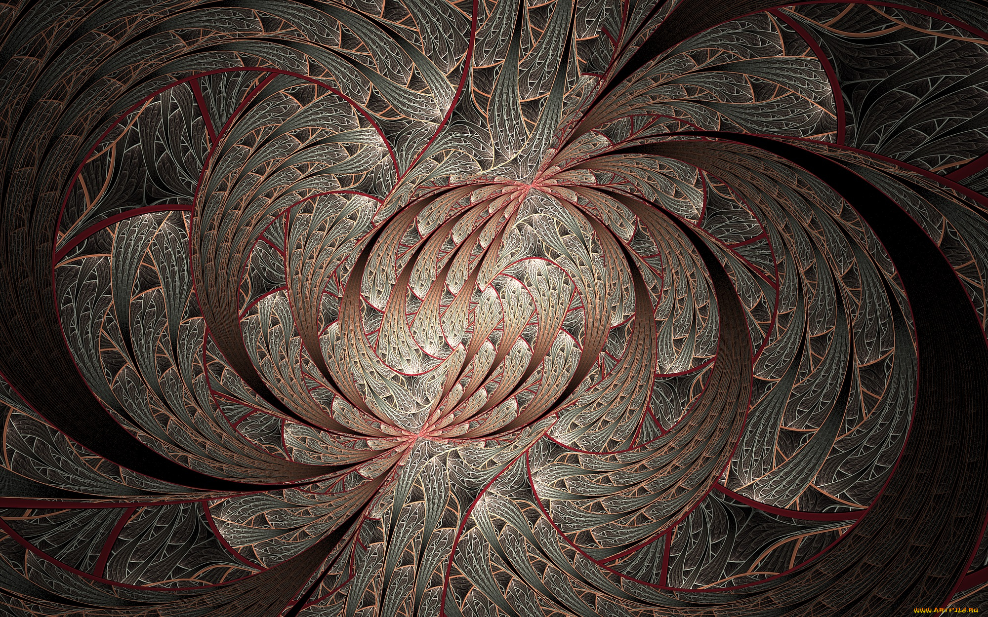 3д, графика, fractal, , фракталы, цвета, узор, фон