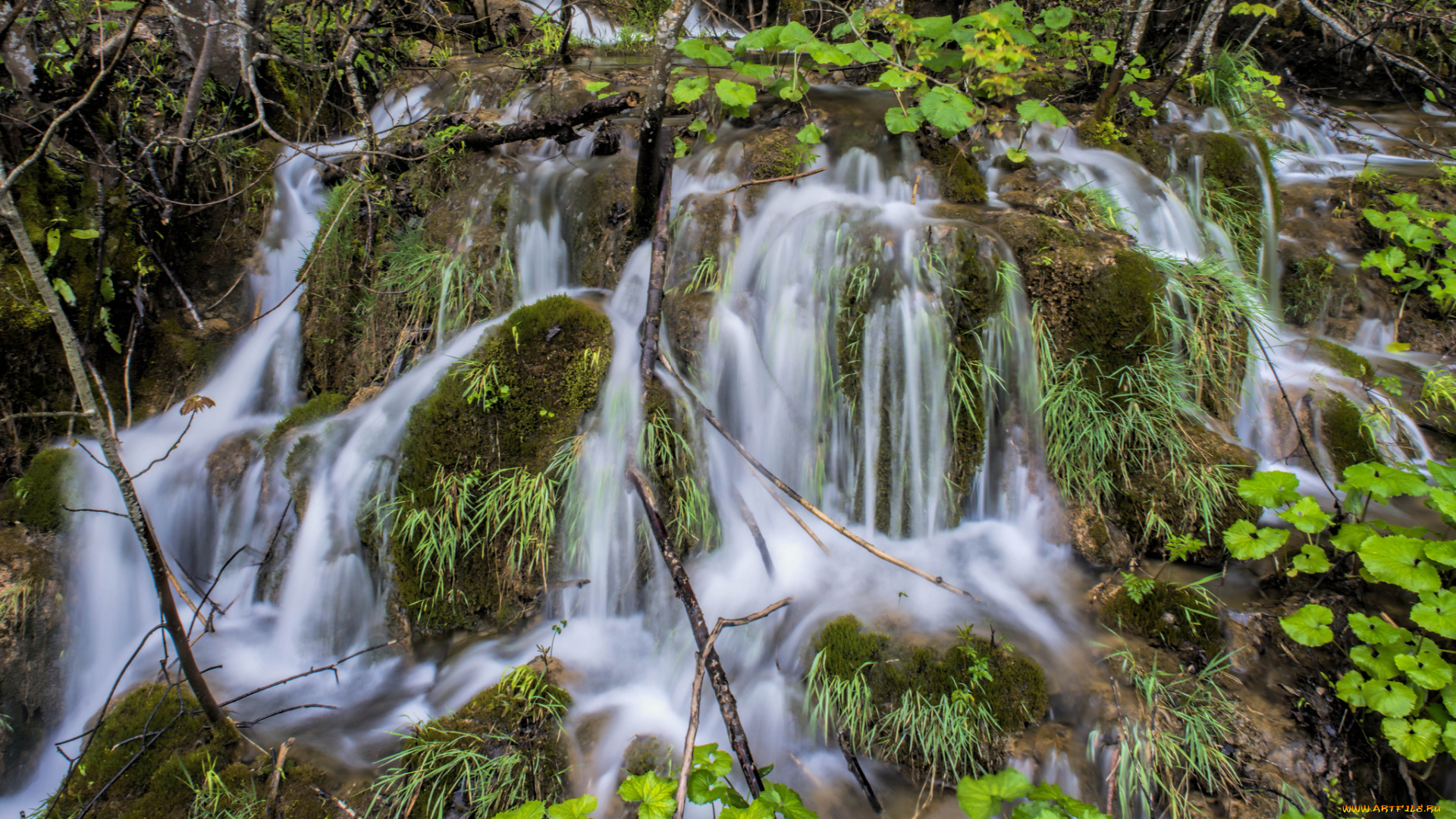 природа, водопады, водопад, река, лес