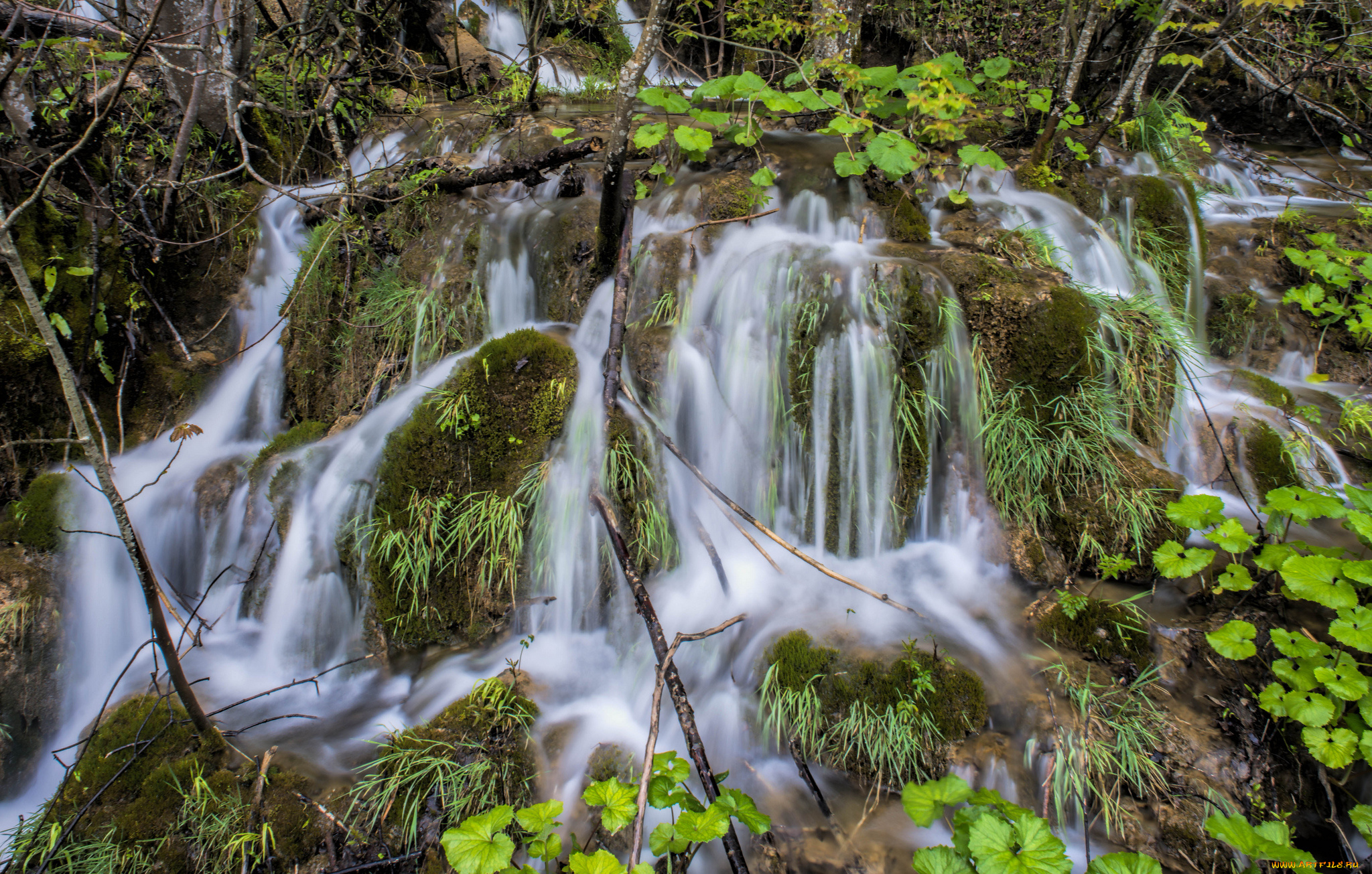 природа, водопады, водопад, река, лес