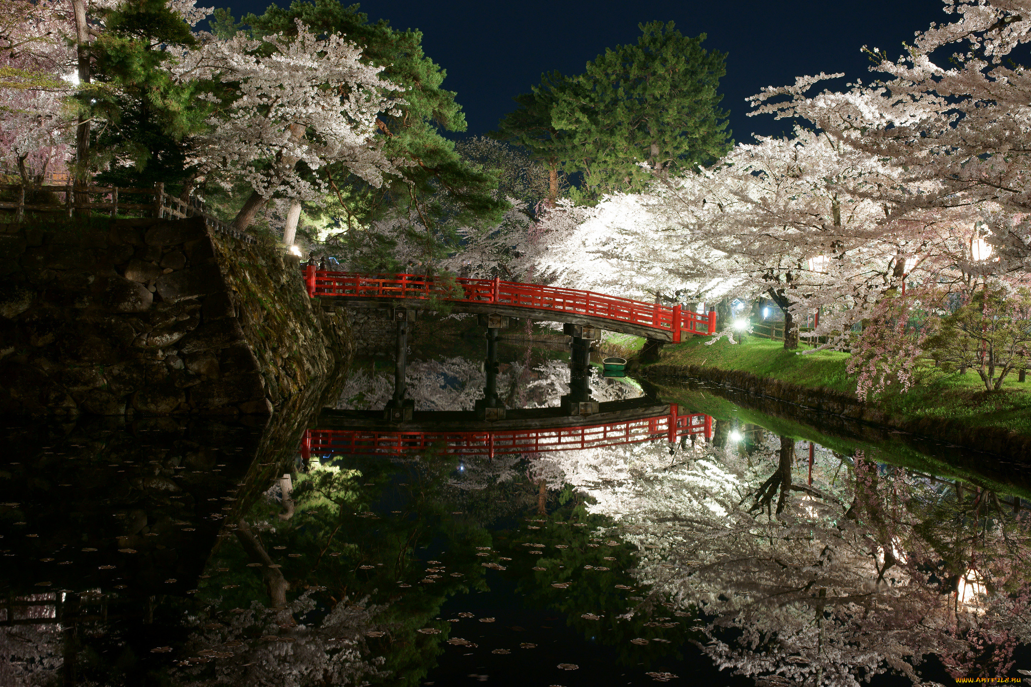 природа, парк, деревья, сад, япония, мост, водоем, свет, ночь, весна, цветы