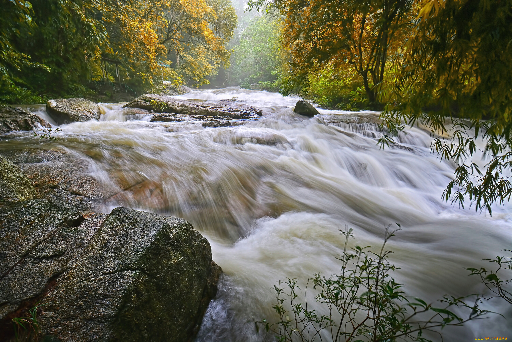 природа, реки, озера, лес, река, водопад