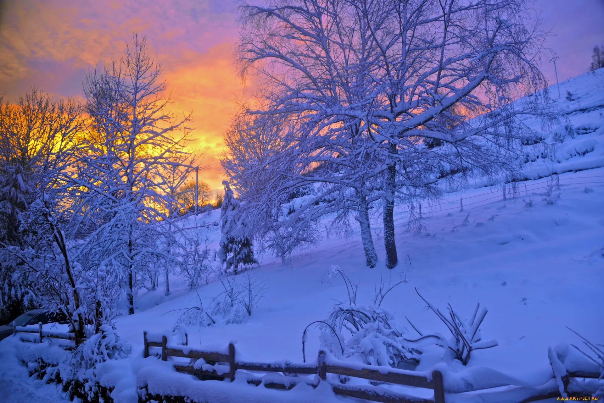 природа, зима, деревья, закат, снег, pascal, laurent, вечер
