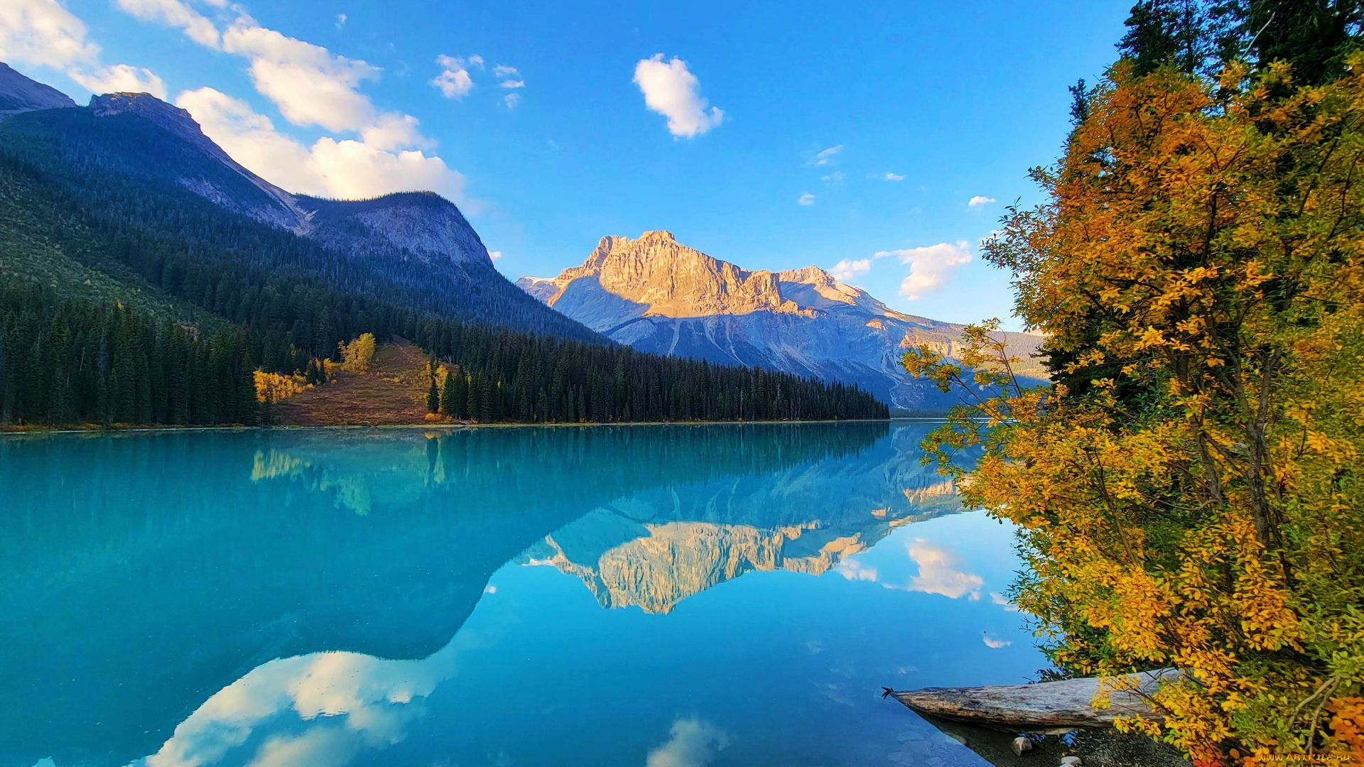 emerald, lake, yoho, np, british, columbia, природа, реки, озера, emerald, lake, yoho, np, british, columbia